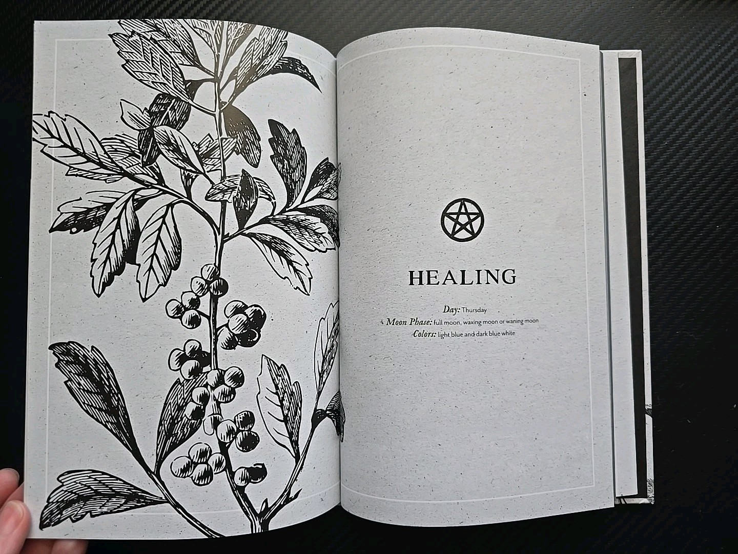 Plant Magic for the Beginner Witch : An Herbalistæs Guide to Heal, Protect an…