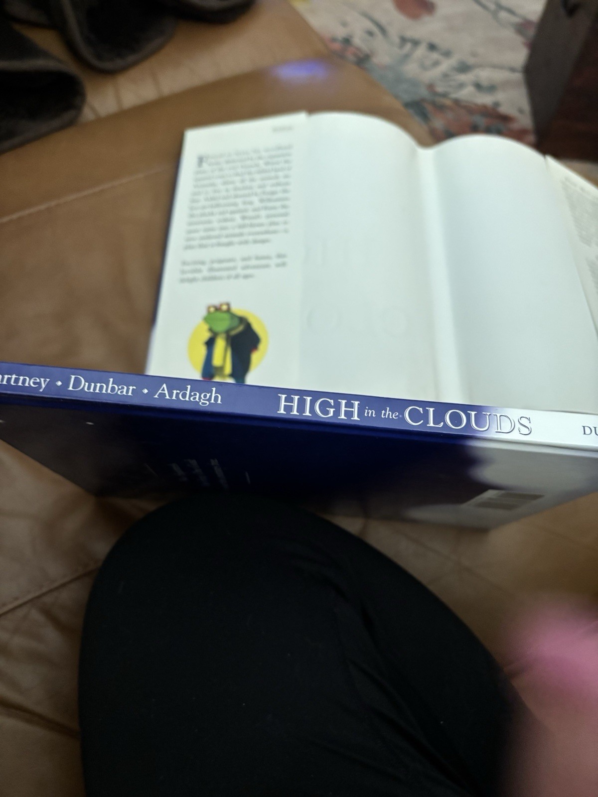 Paul McCartney “High In The Clouds” AUTOGRAPHED Hardcover First Edition 2005
