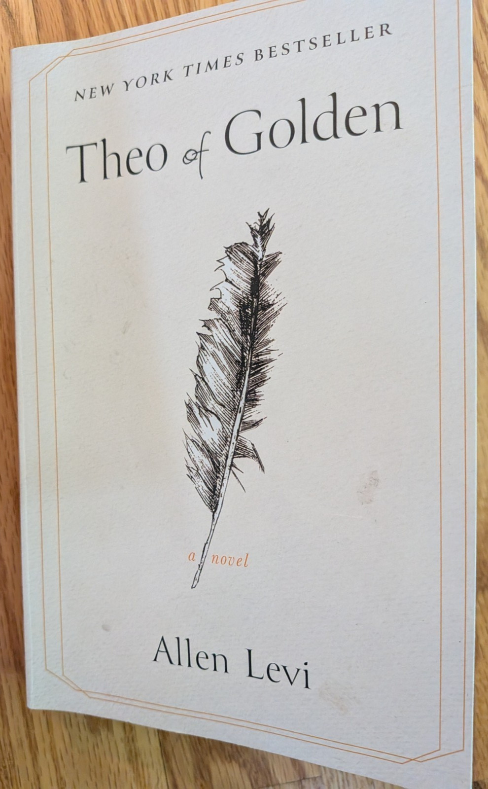 Theo of Golden : A Novel by Allen Levi (2025, Trade Paperback) GOOD