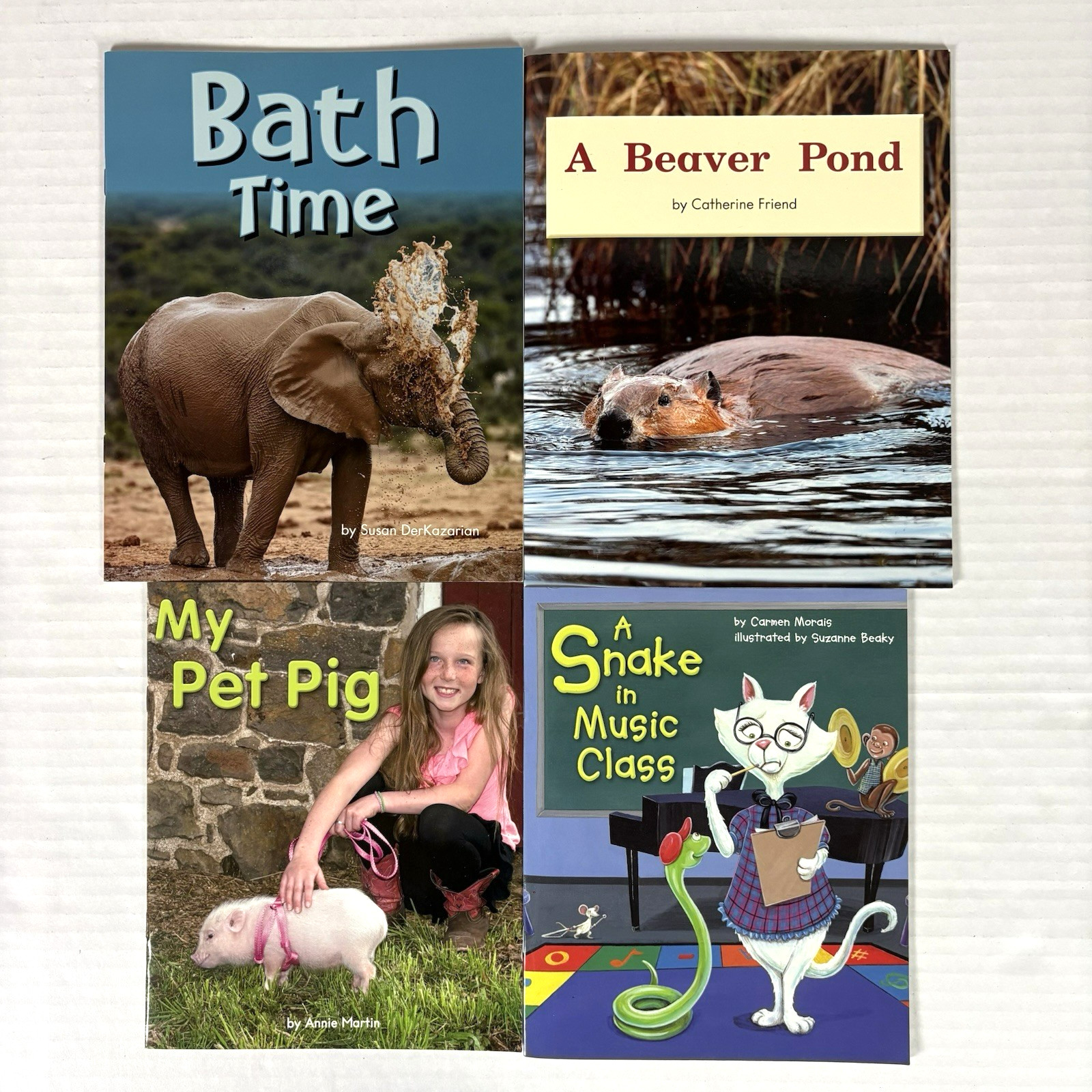 1st Grade Readers Multi-Level Reading Library #2 – 23 Books Levels E-J