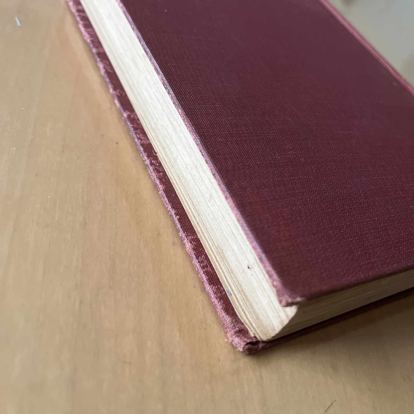 By Rail And Trail Mae Foster JAY 1st Edition 1928 Illustrated Hardcover