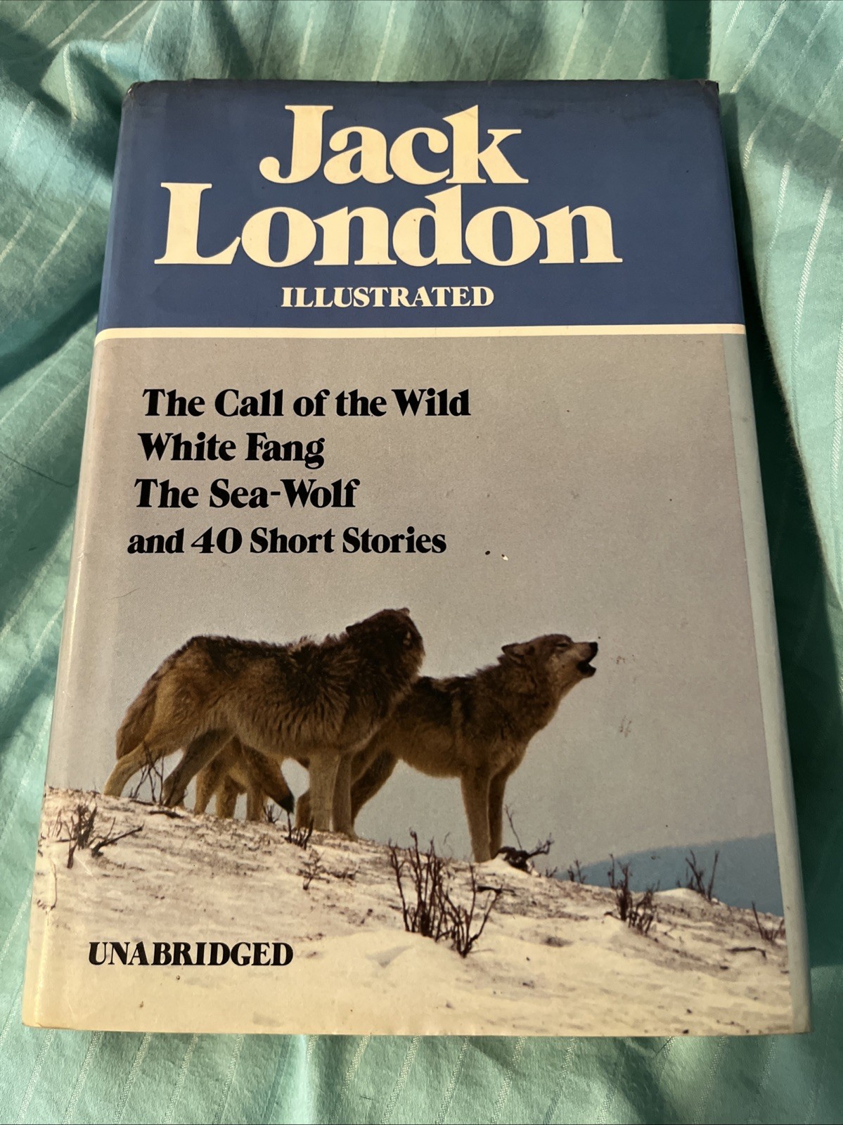 Jack London Illustrated 1980 Edition Hardcover with Dust Jacket
