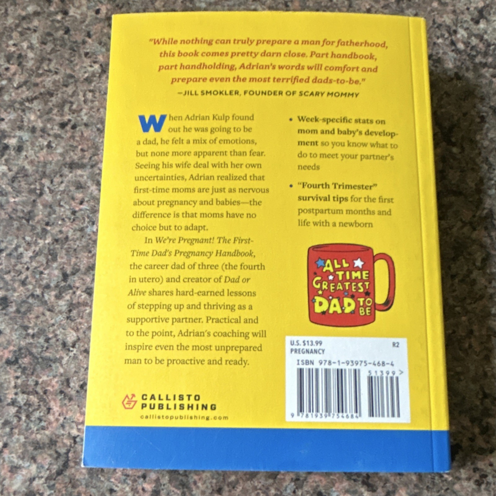 Callisto Publishing We’re Pregnant! Dad’s Handbook by Adrian Kulp (2018, PB)