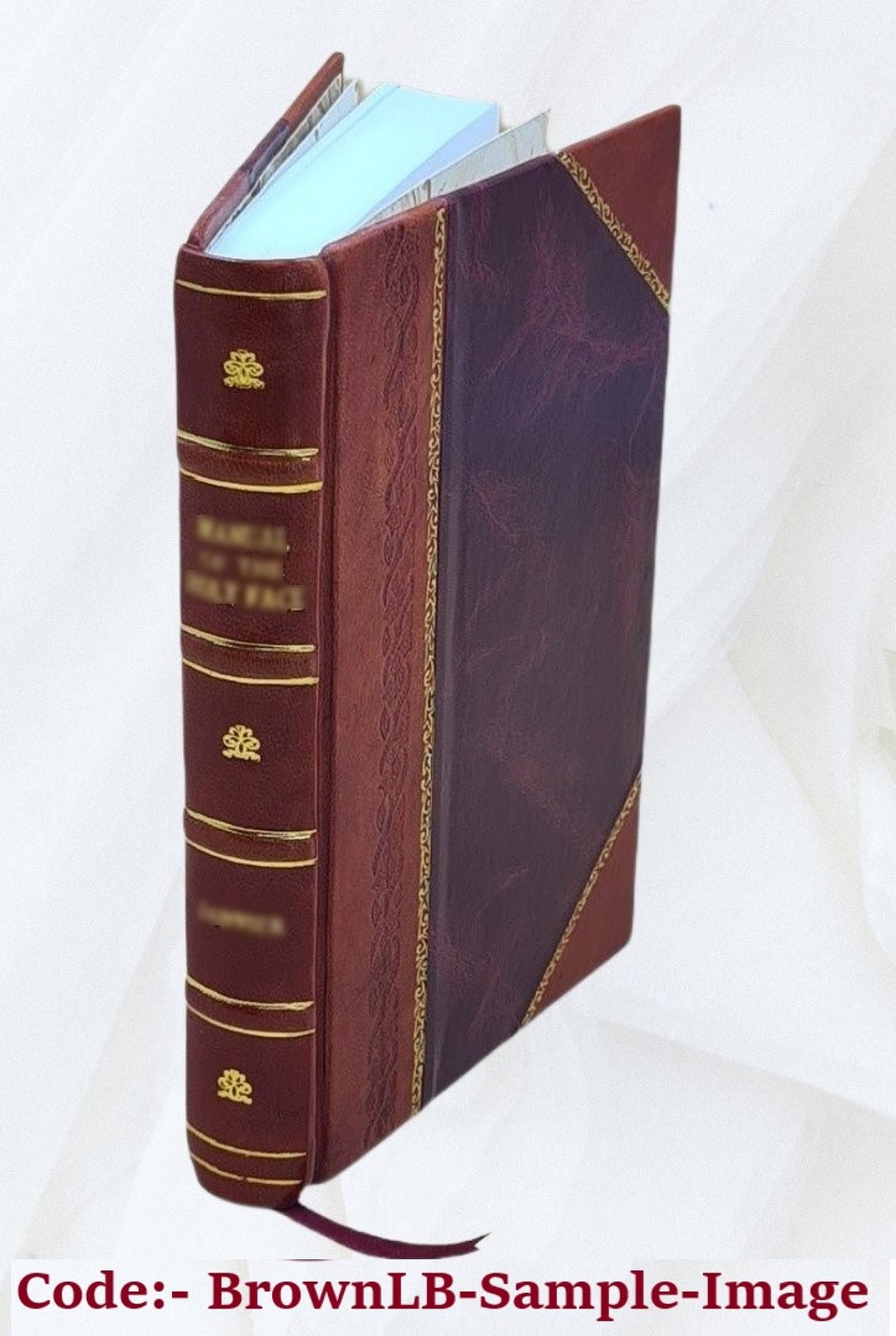 By The Roaring Reuss Idylls And Stories Of The Alps 1898 [Leather Bound]