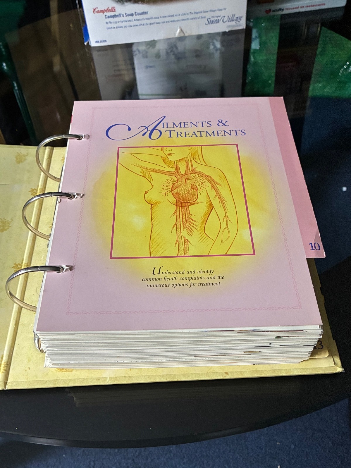 THE COMPLETE GUIDE TO NATURAL HEALING BINDER