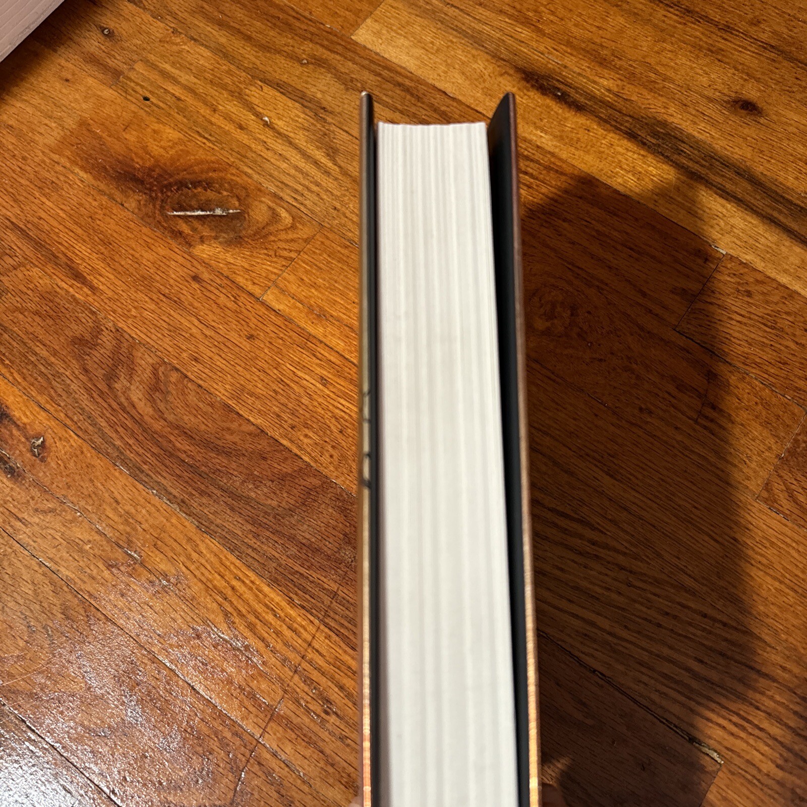 The Empyrean Ser.: Fourth Wing by Rebecca Yarros (2023, Hardcover)