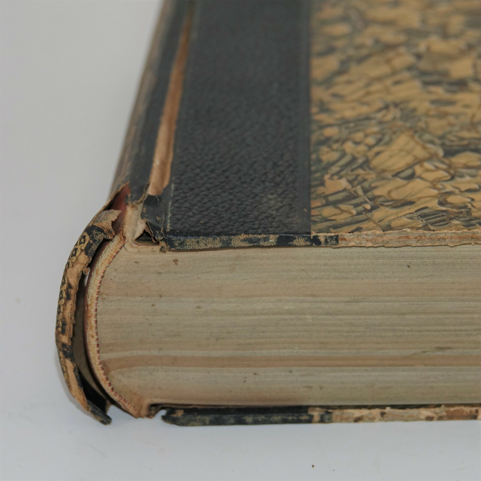 Messages And Papers Of The Presidents Vol VIII 1881-1889 James Richardson