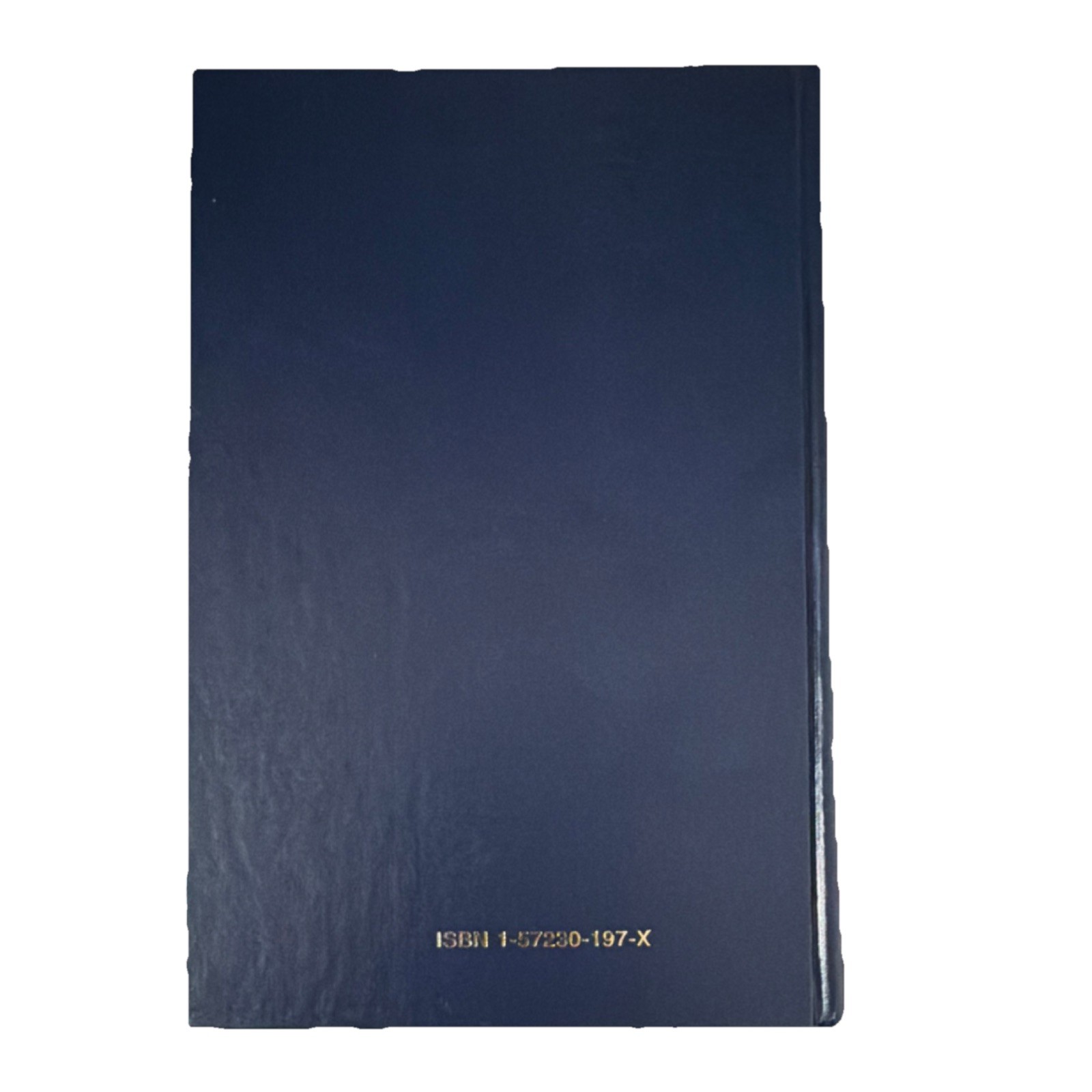 Guilford Publications Hardcover Postpartum Depression & Child Development
