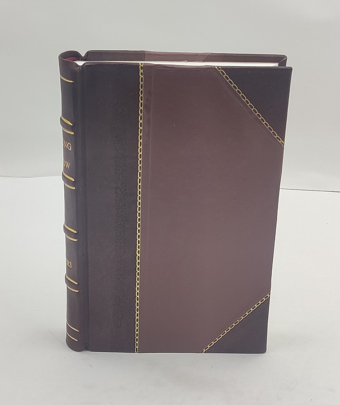 The King in Yellow 1895 [Crafted Leather]