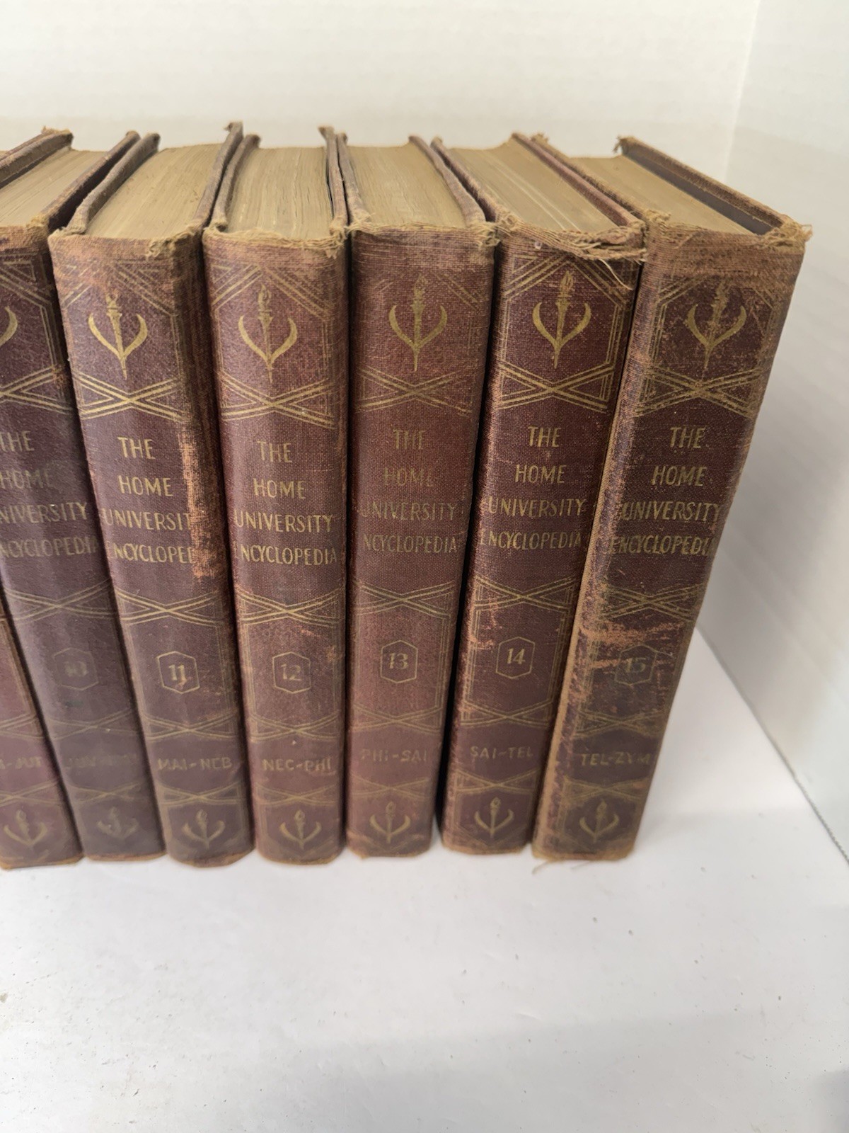 RARE Vintage 15 Volume Set Of The Home University Encyclopedia By C Ralph Taylor