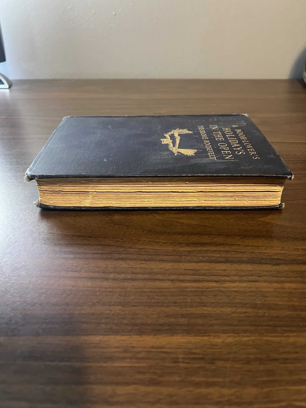 Antique A Book Lovers Holidays in the Open Theodore Roosevelt HC 1916 Vtg