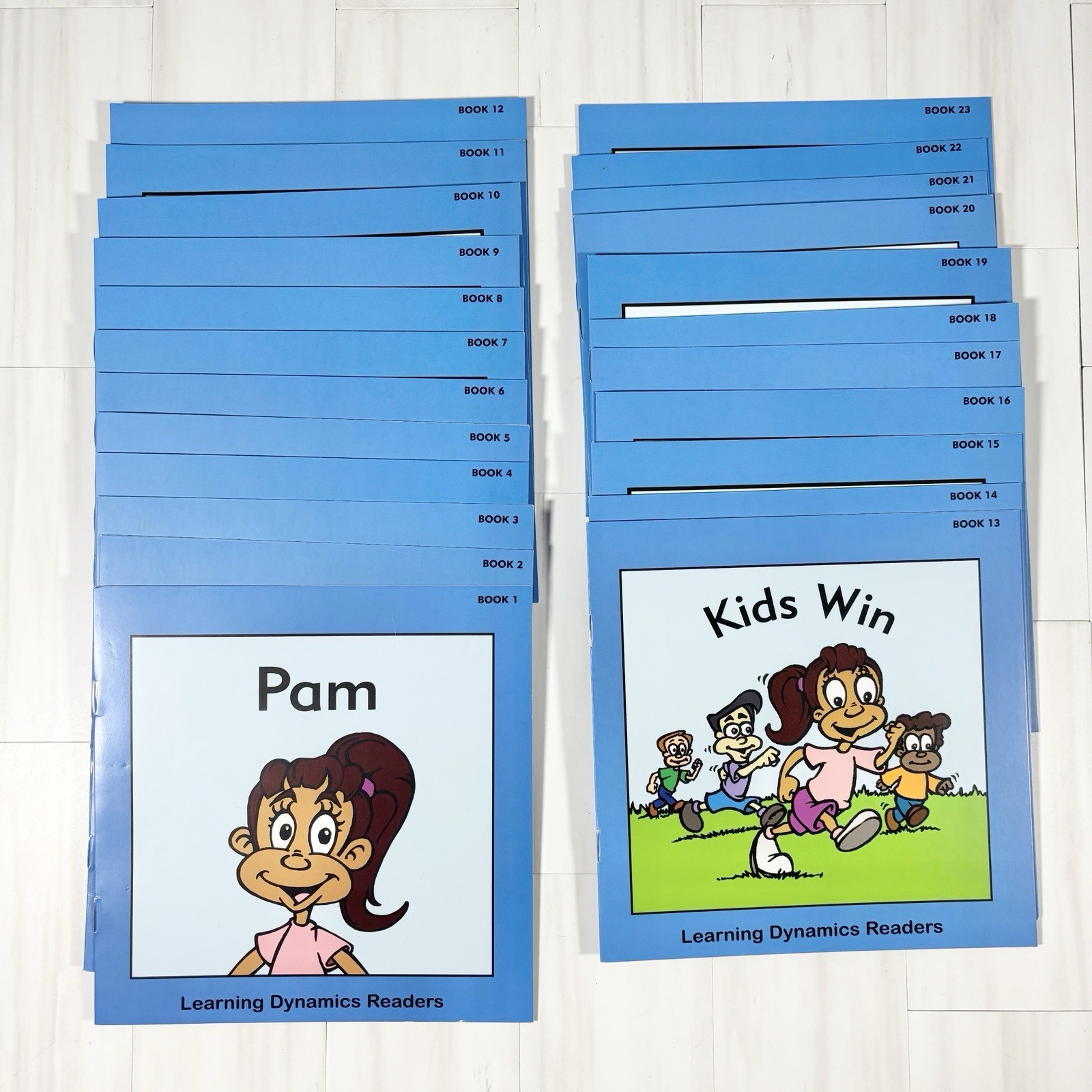 Learning Dynamics Reading System Homeschool Pre-K Complete CD Flash Cards Manual