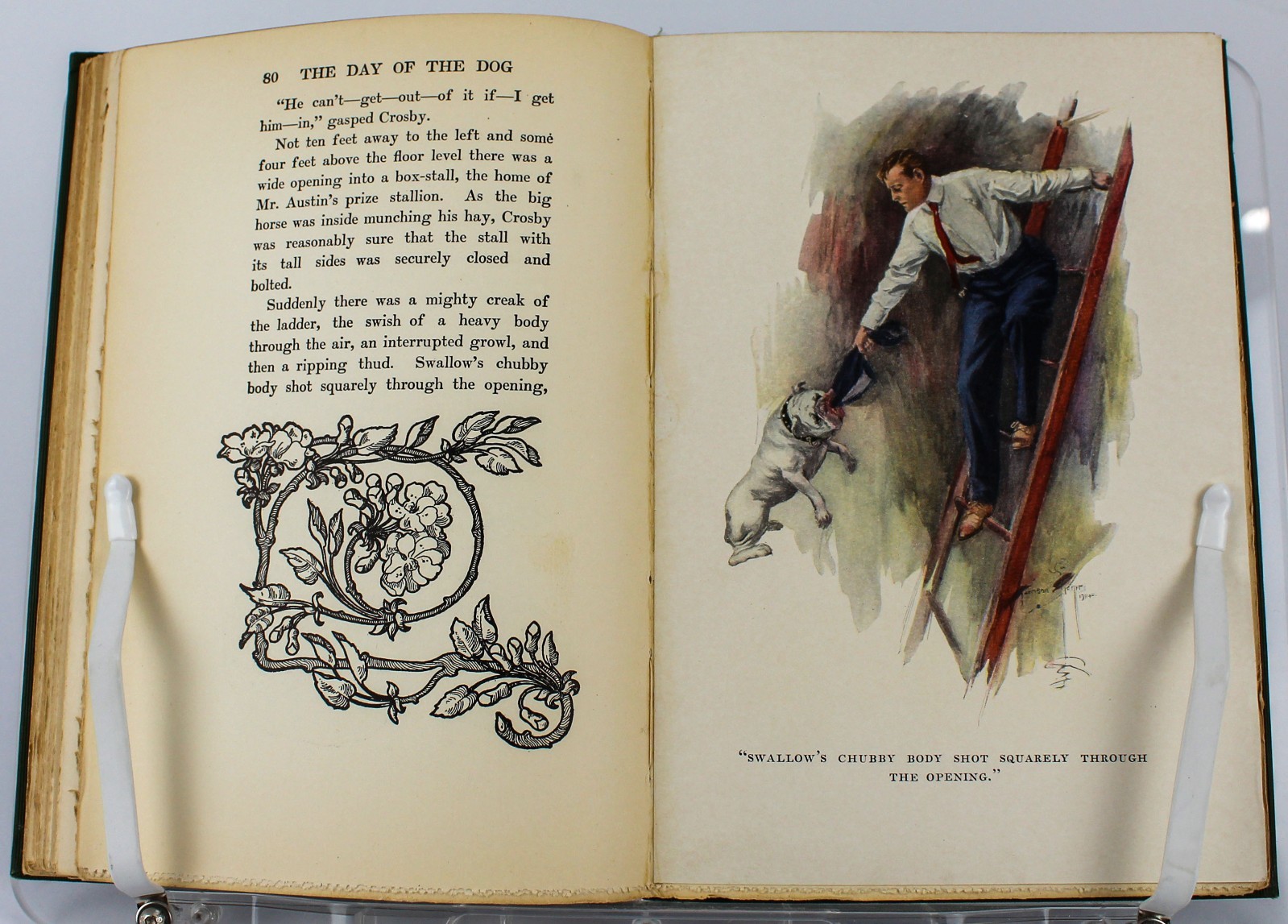 1904 The Day of the Dog George Barr McCutcheon Harrison Fisher Illus HC