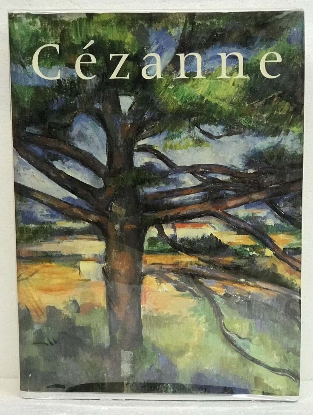 Paul Cezanne Francoise Cachin Isabelle Chan 1996 First Edition HB/DJ 600 Pages