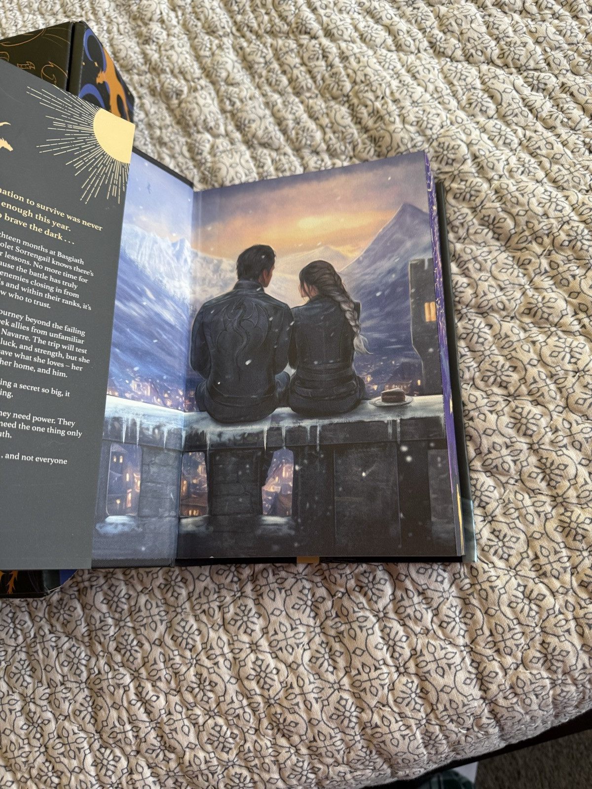 ONYX STORM CUSTOM PURPLE SPRAYED EDGES HEMINGWAY BOOKS WITH CUSTOM BOX