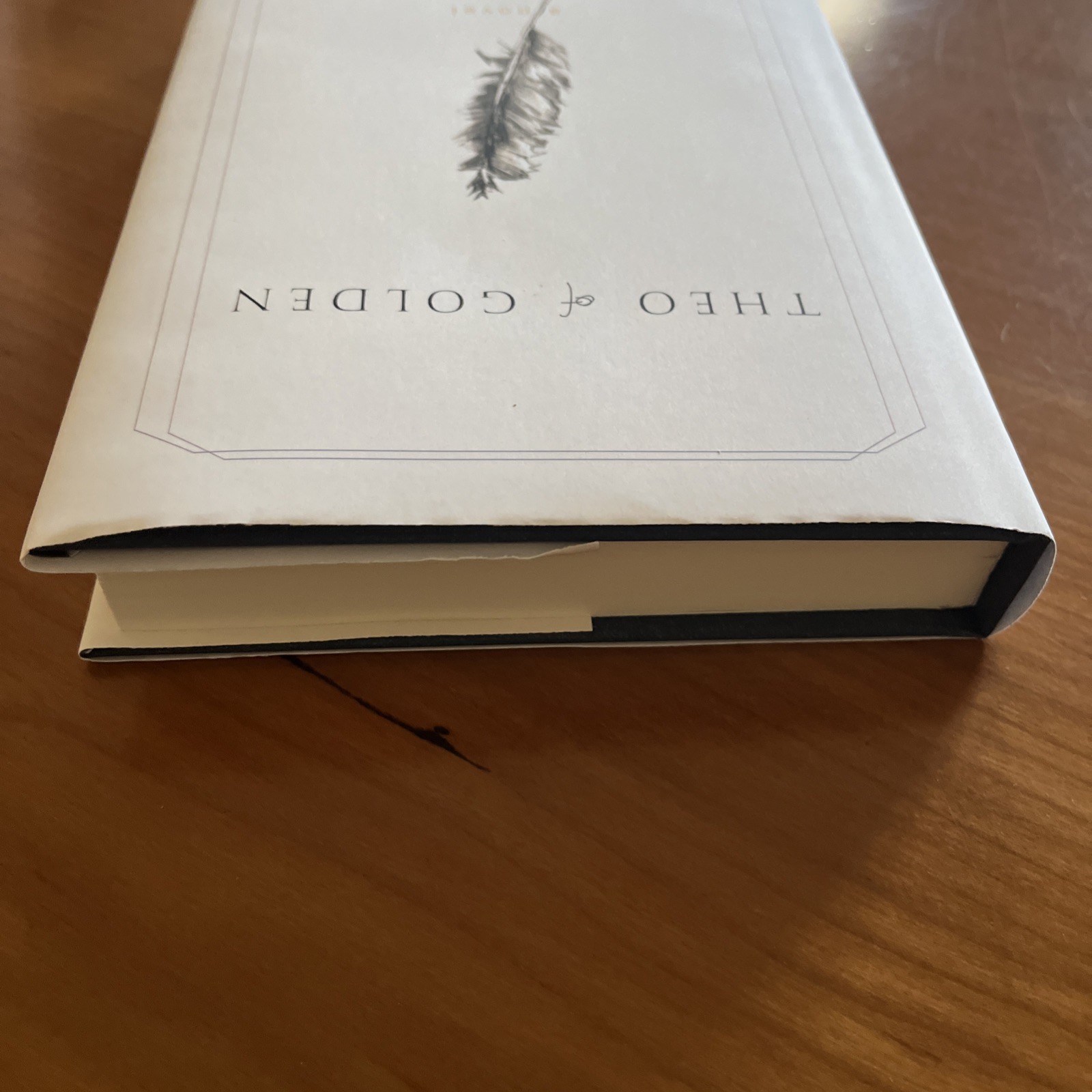 Theo of Golden Allen Levi True First Edition Self Published Hardcover Book 2023