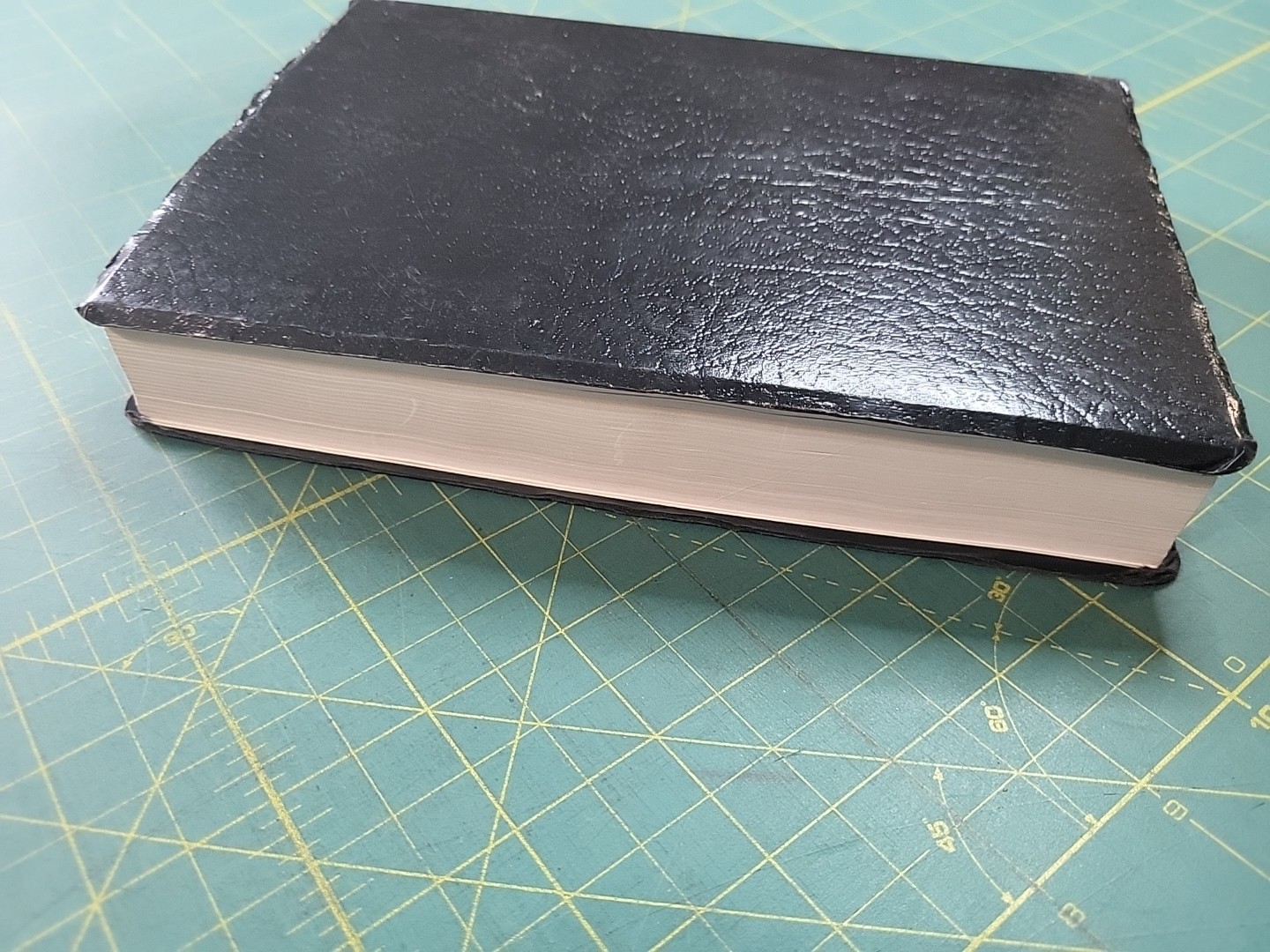 HCSB Gift and Award Bible, Black Imitation Leather