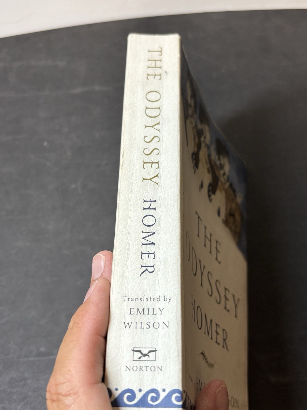 The Odyssey by Homer Translated by Emily Wilson Softcover 1st Edition 2018
