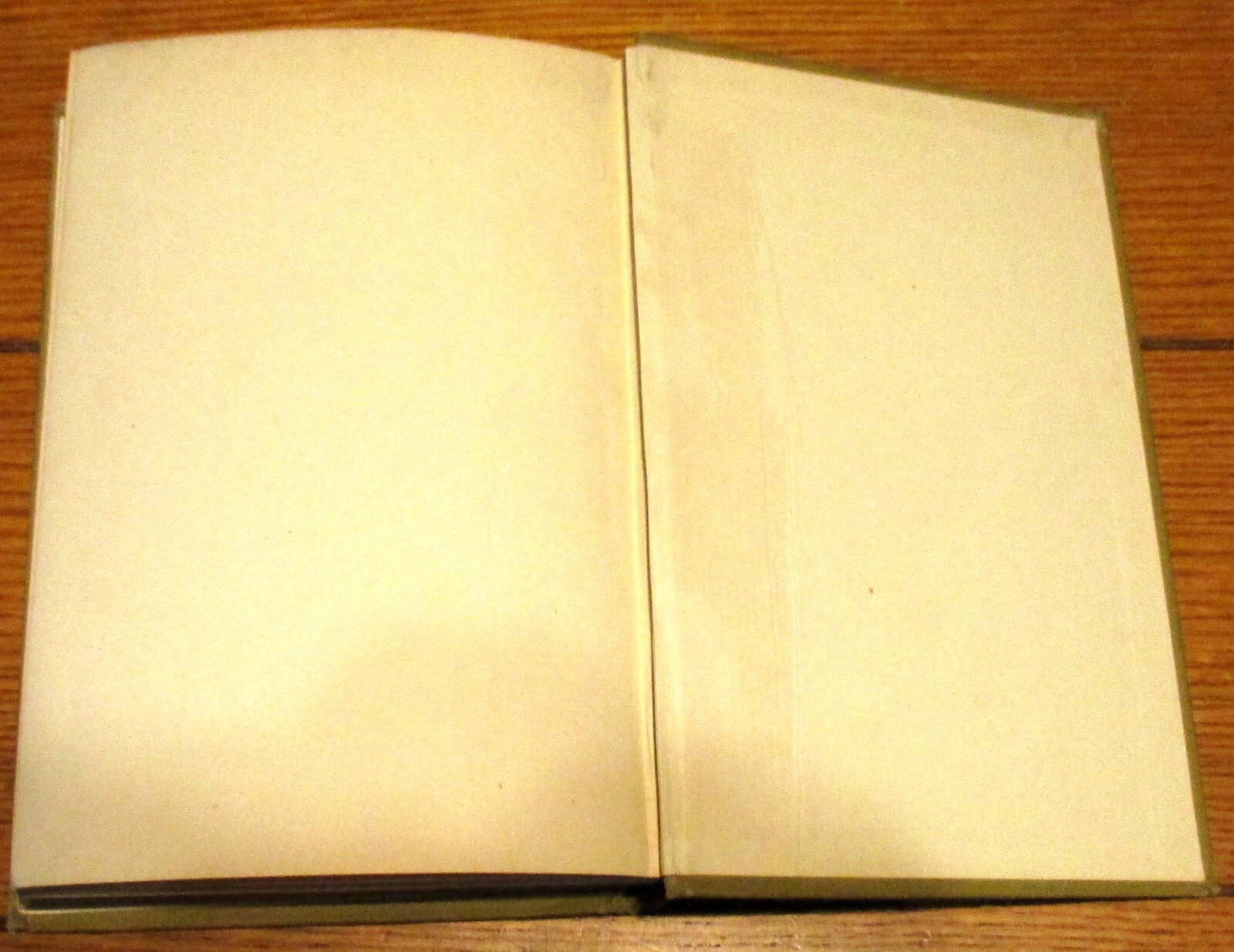 1928 The Merry Lynn Mine by Harriet Pyne Grove H/C 240 Pages