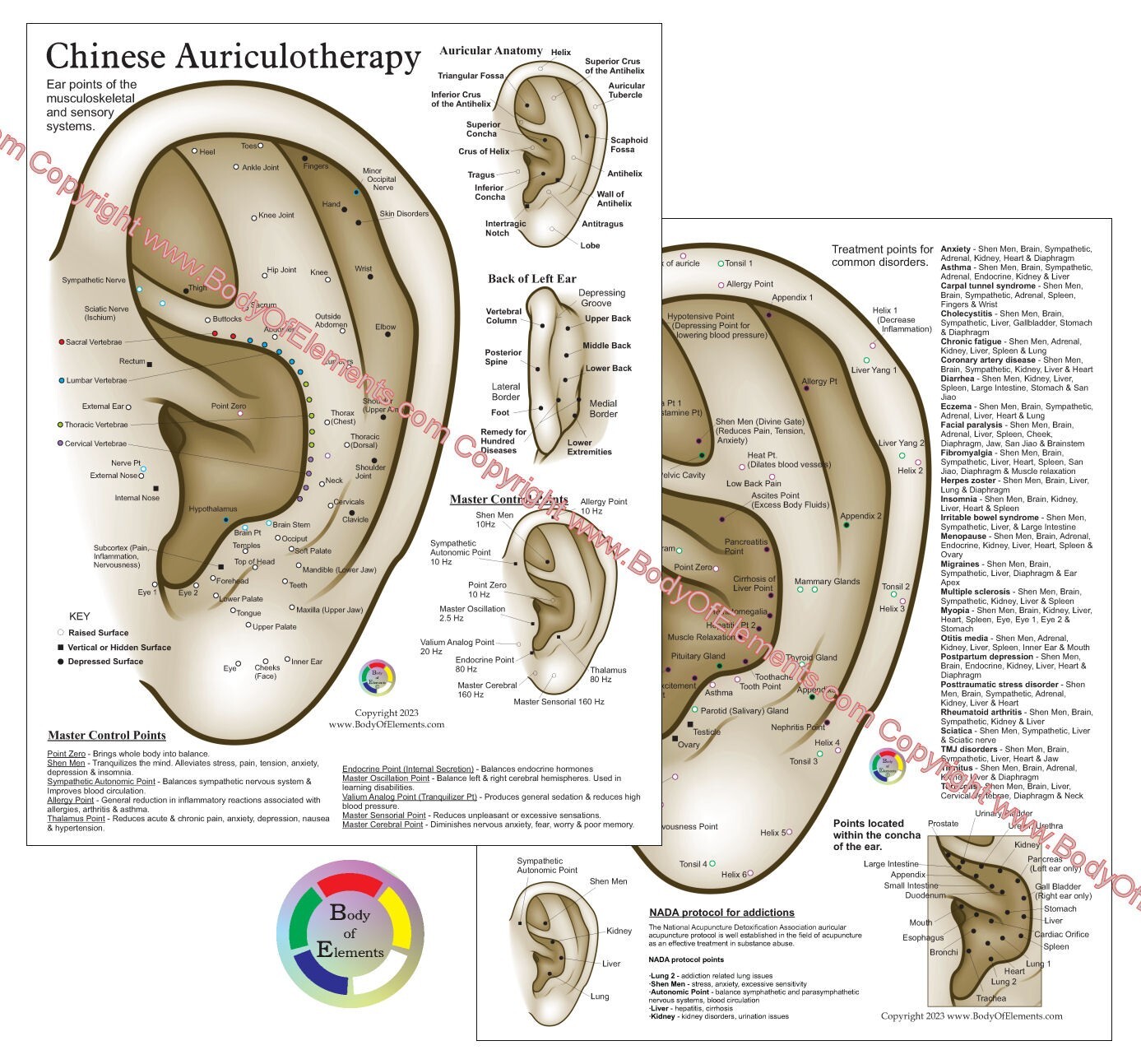 Chinese System Auricular Ear Acupuncture Chart 8.5″ X 11″ Auriculotherapy