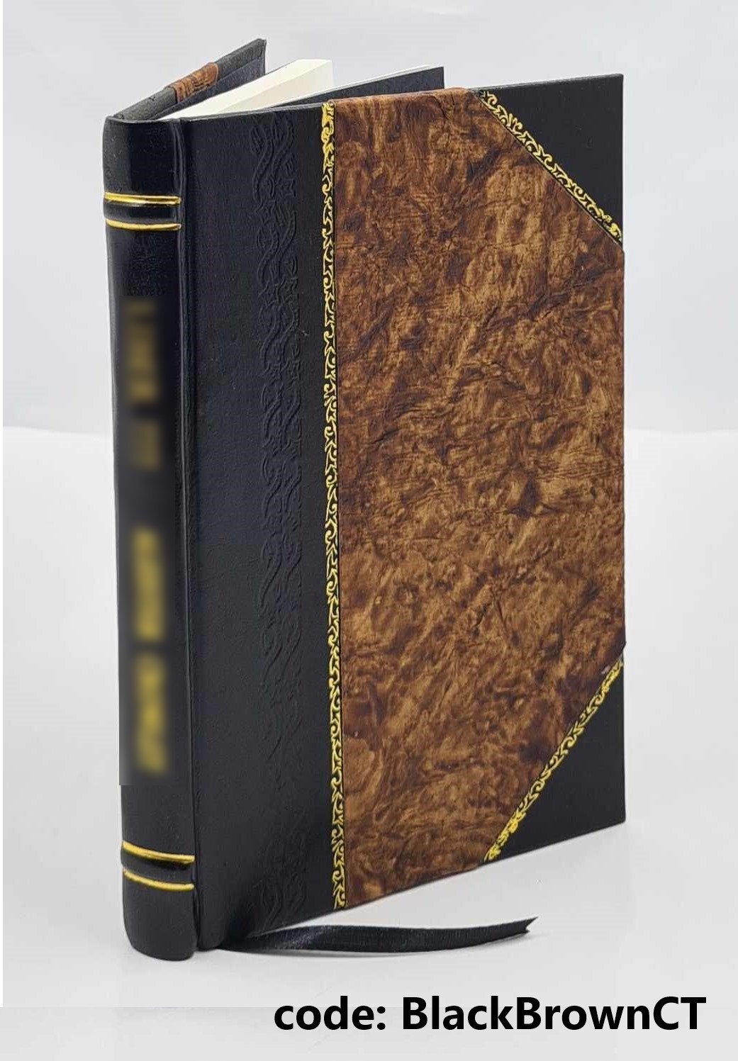 Die individualisirung der obligation 1886 by Ludwig Mitteis [Leather Bound]