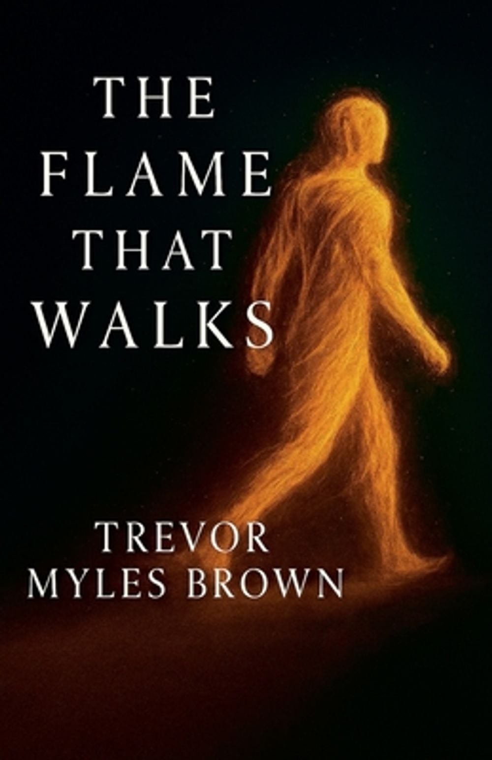 The Flame That Walks by Trevor Brown Paperback Book