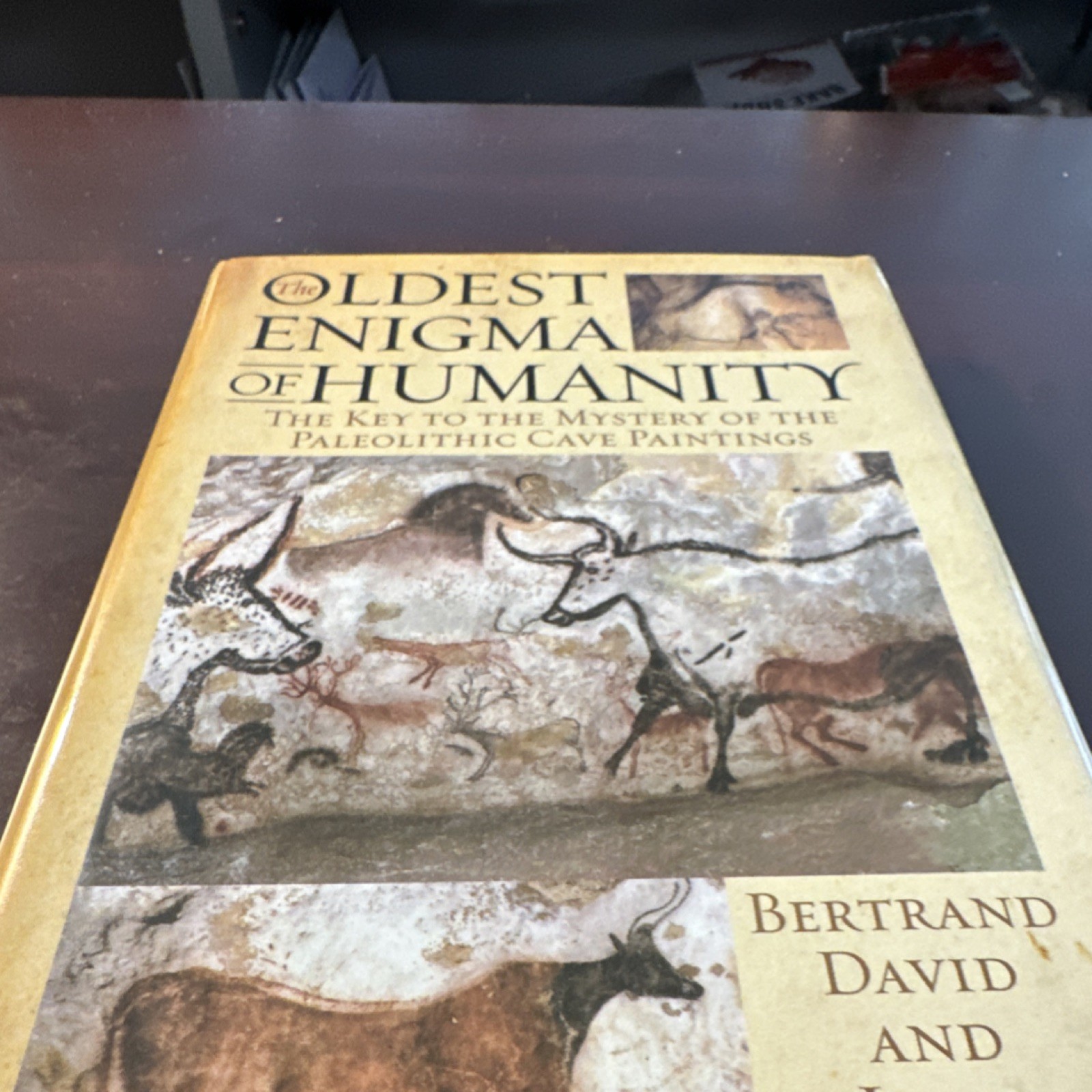 Arcade Publishing The Oldest Enigma of Humanity David Lefrère HC 2014 DJ