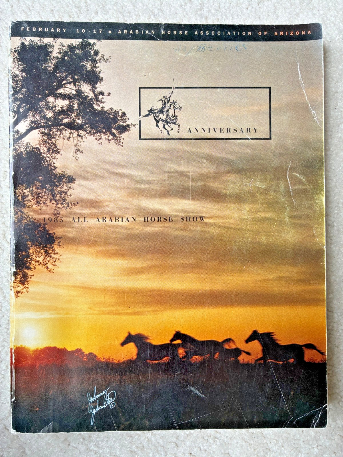 1985 Arabian Horse Association of Arizona Scottsdale Horse Show Book 432 Pages