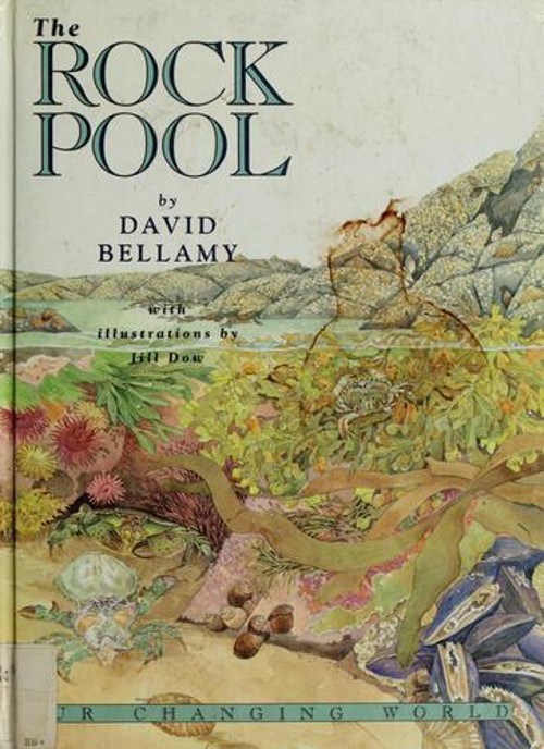 Our Changing World : The Rock Pool Hardcover David Bellamy