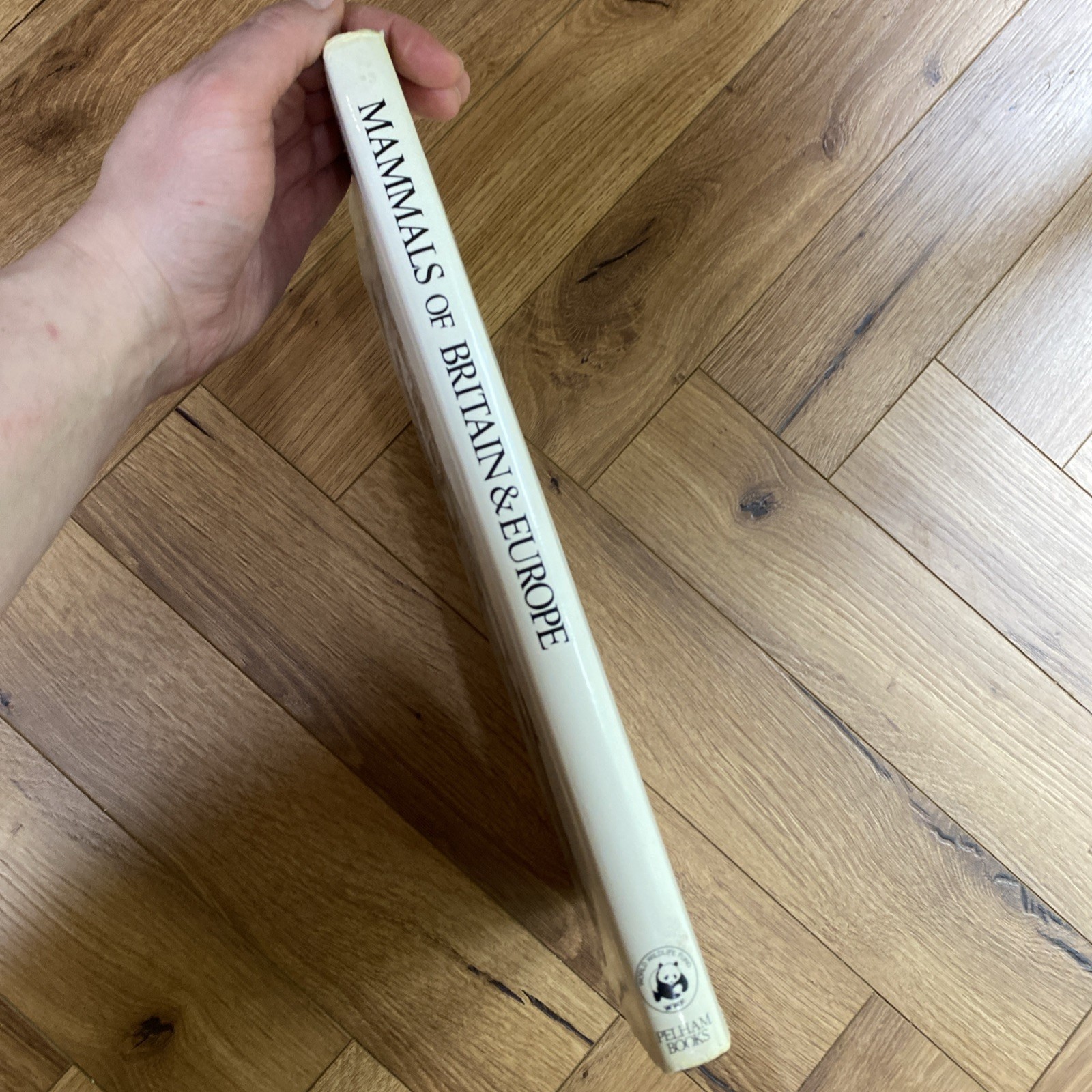 Mammals of Britain and Europe by Pope, Joyce Hardback Book
