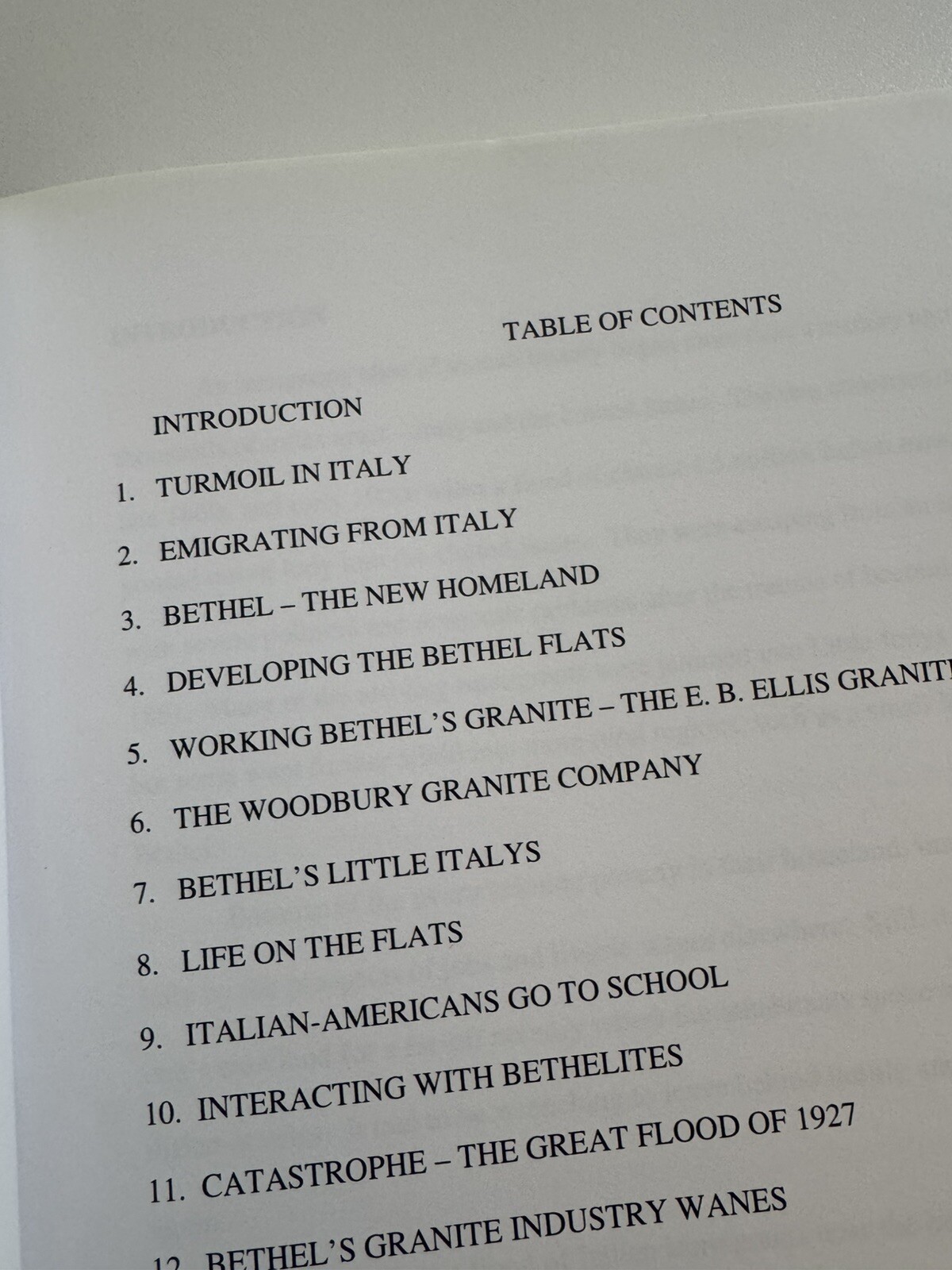 Vermont Stones Italian Bones – 2016 Bethel Vermont’s Marble Book 343 Pages
