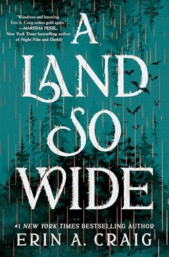 A Land So Wide A Novel – VERY GOOD