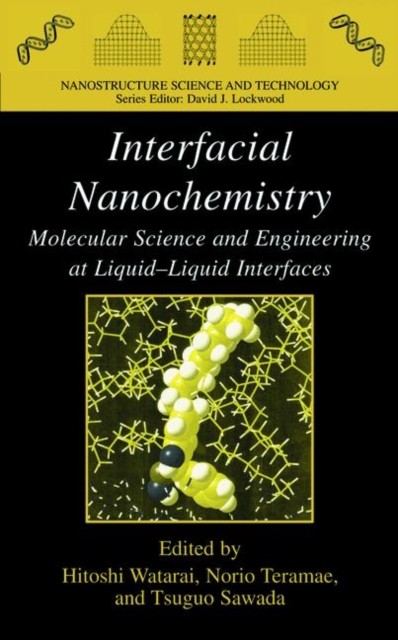 Watarai – Interfacial Nanochemistry Molecular Science and Engineerin – X555z