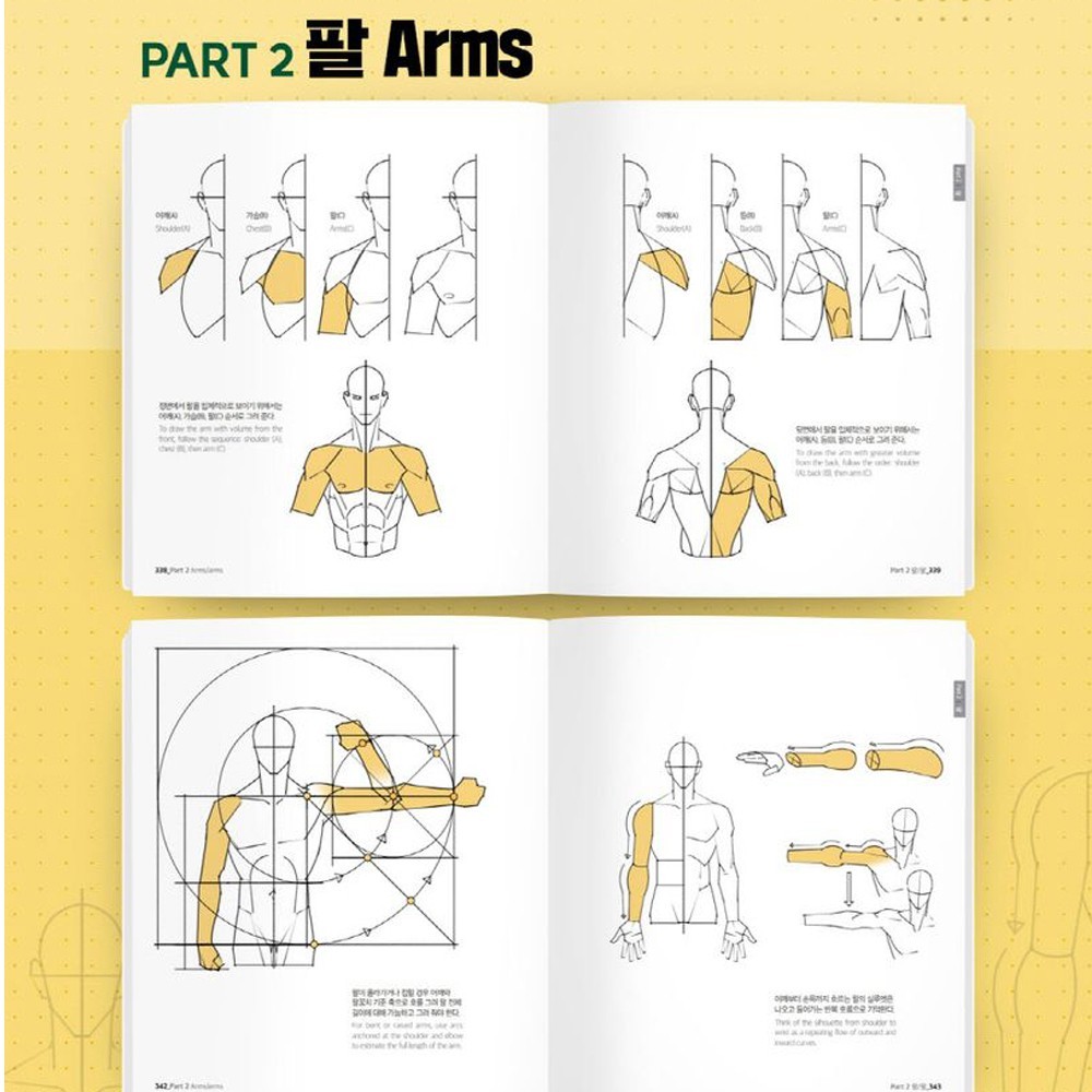 Point Character Drawing 2 by Taco Korean Manga Anatomy Book English Sub