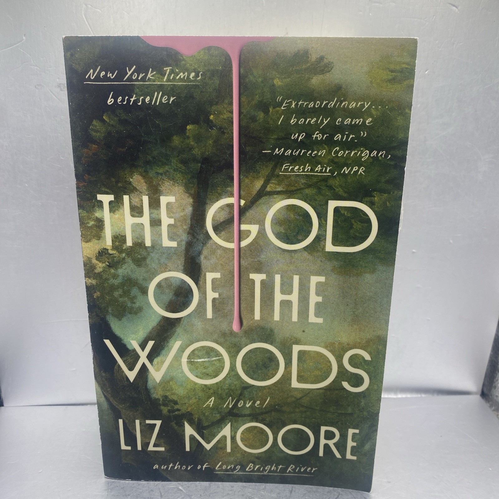 Liz Moore The God of the Woods Trade Paperback 2024 Penguin Thriller Novel