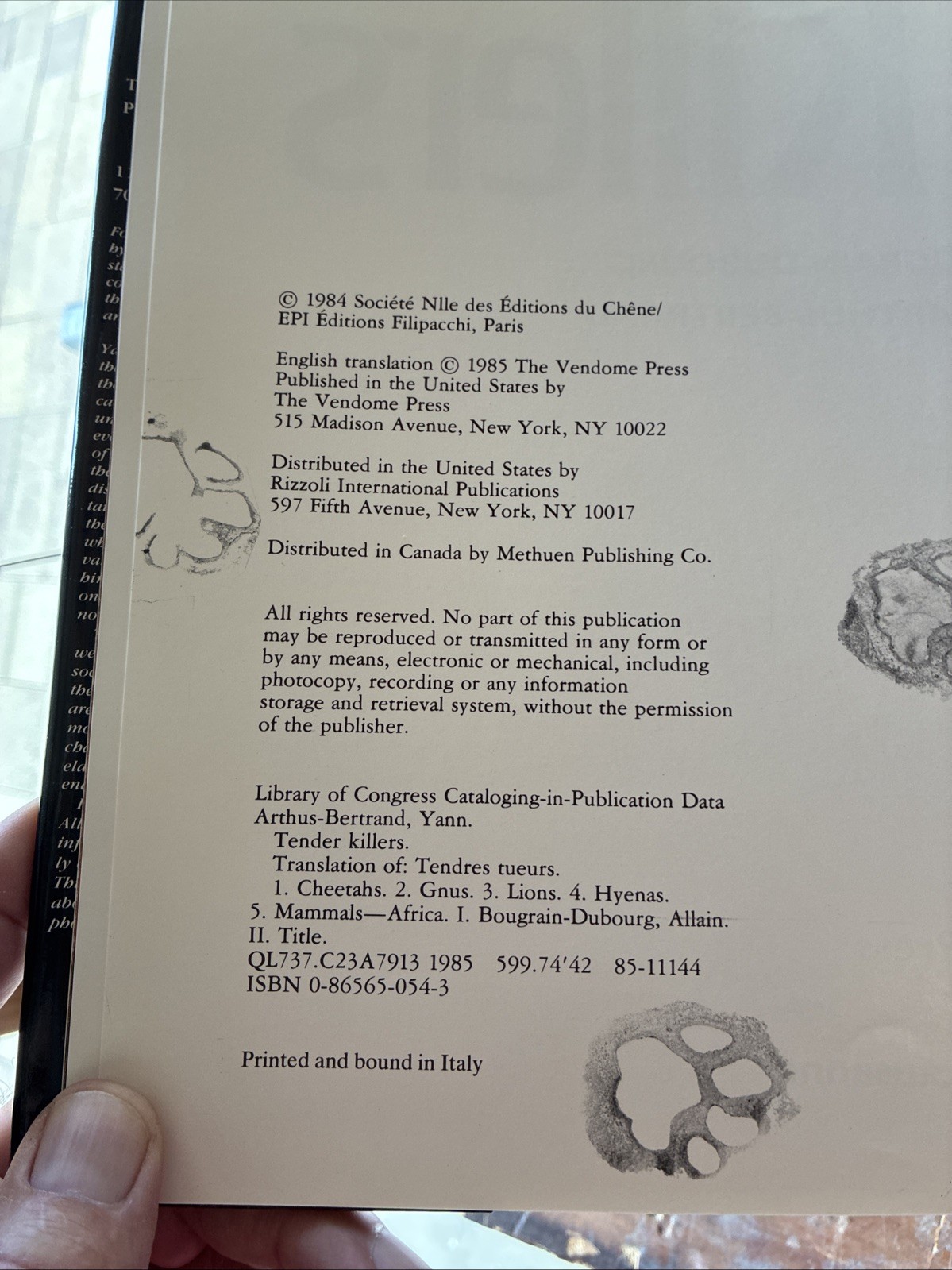Tender Killers Hardcover The Vendome Press 116 Pages (21P)