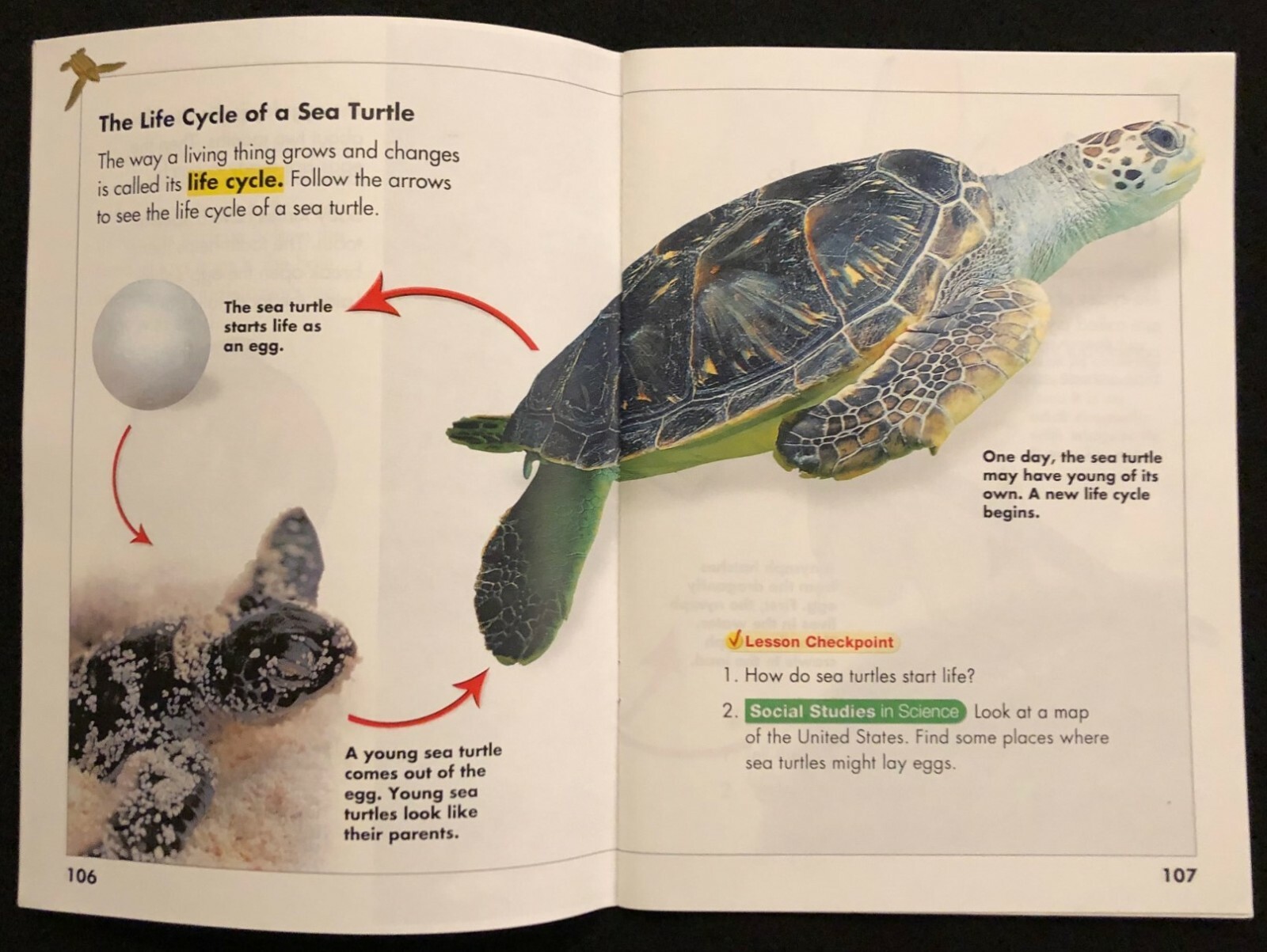 2nd Grade SCIENCE CURRICULUM READERS – LARGE Chapter Booklets (2008, Pearson)