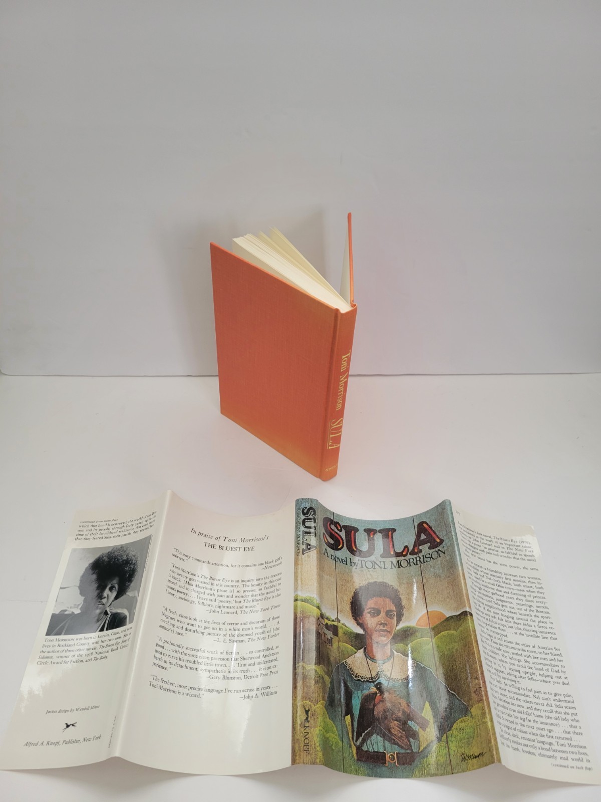 Sula Toni Morrison First Edition Hardcover 1993 Very Good +