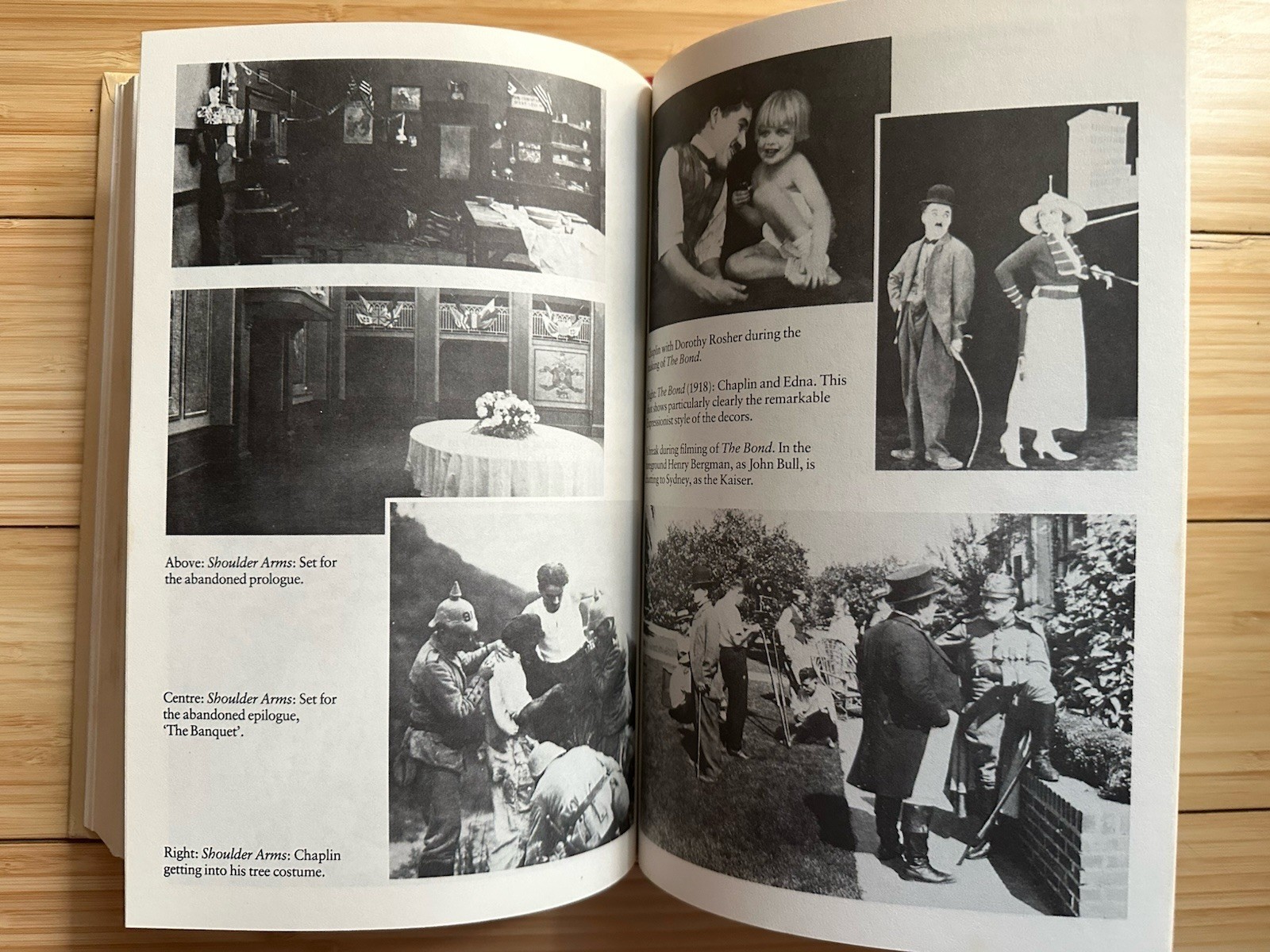CHAPLIN – His Life and Art (1985, Hardcover) By David Robinson