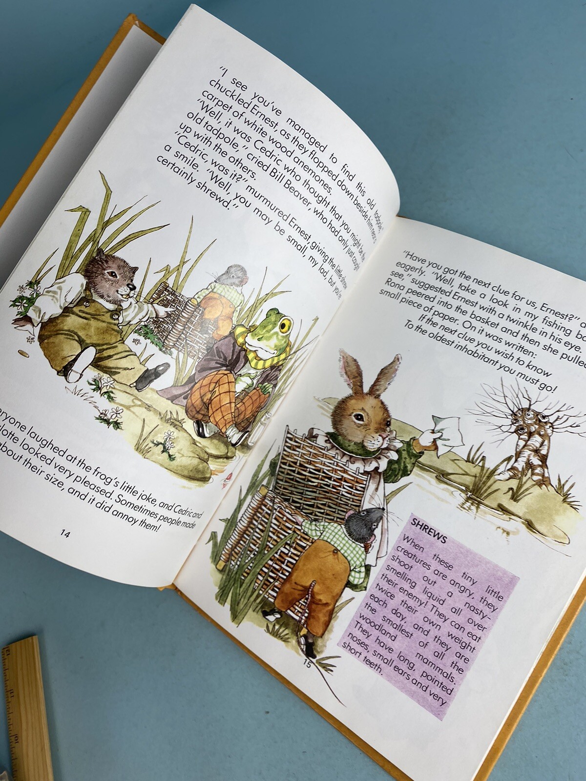 Vintage Countrylane Storybook – David Bellamy (4 Stories) – 1989 Large H/C