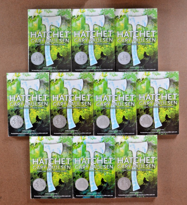 Guided Reading Lot of 10 Hatchet by Gary Paulsen Chapter Books Teacher Class Set