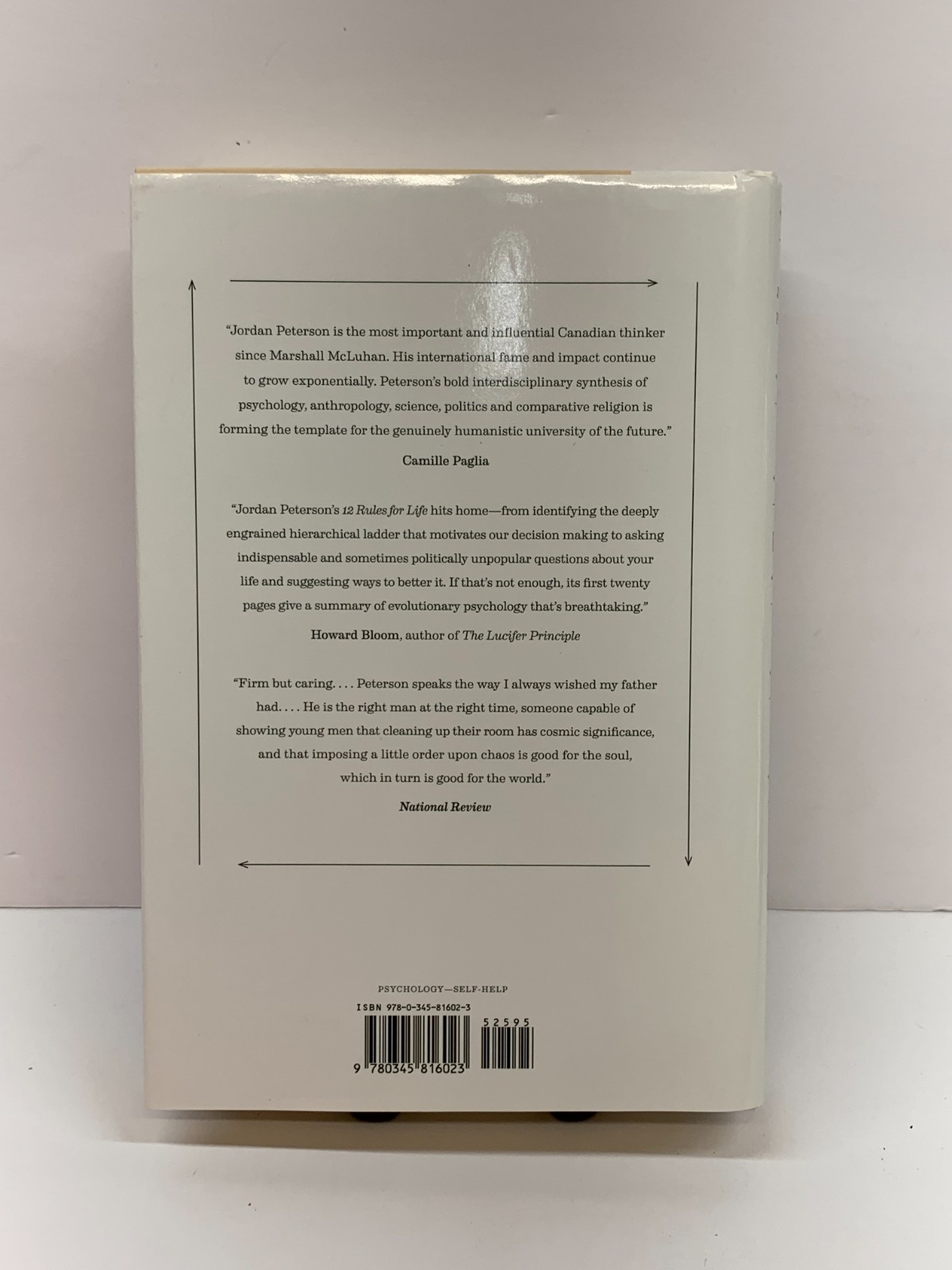 12 Rules for Life : An Antidote to Chaos by Jordan B. Peterson (2018, Hardcover)