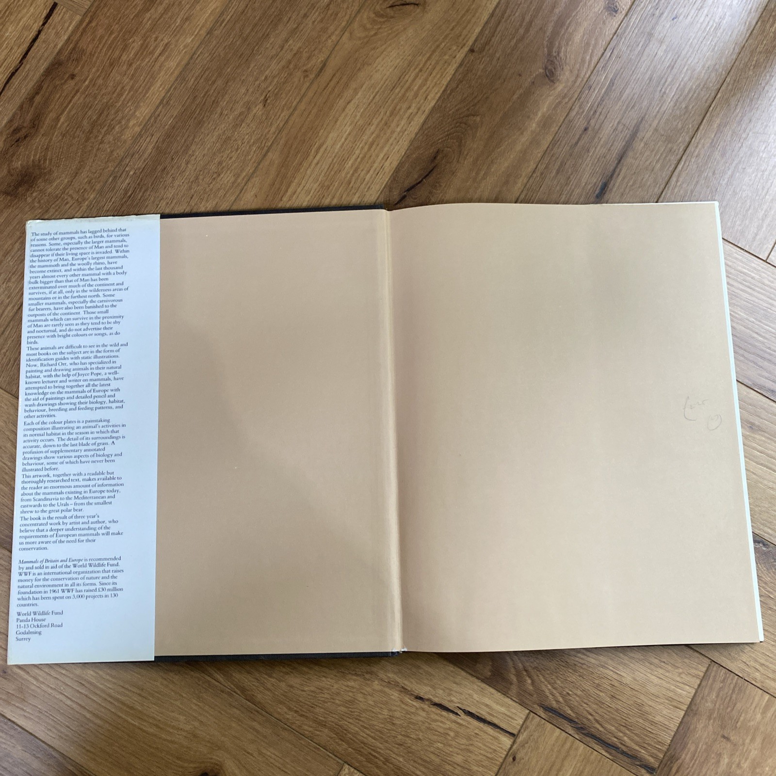Mammals of Britain and Europe by Pope, Joyce Hardback Book