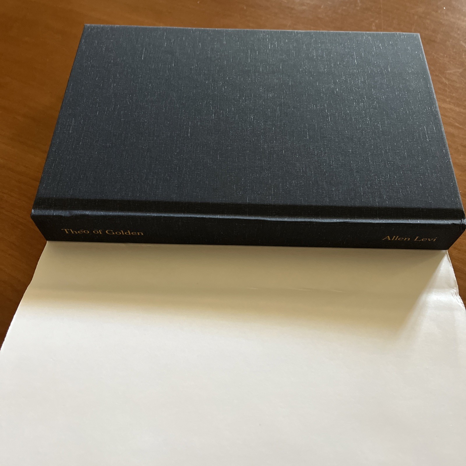 Theo of Golden Allen Levi True First Edition Self Published Hardcover Book 2023