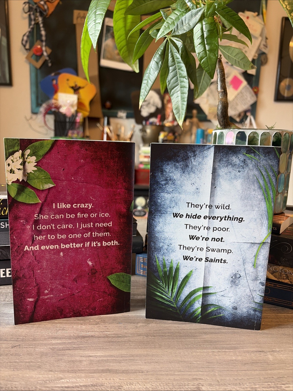 Penelope Douglas / Five Brothers & Tryst Six Venom / Probably SMUT Editions