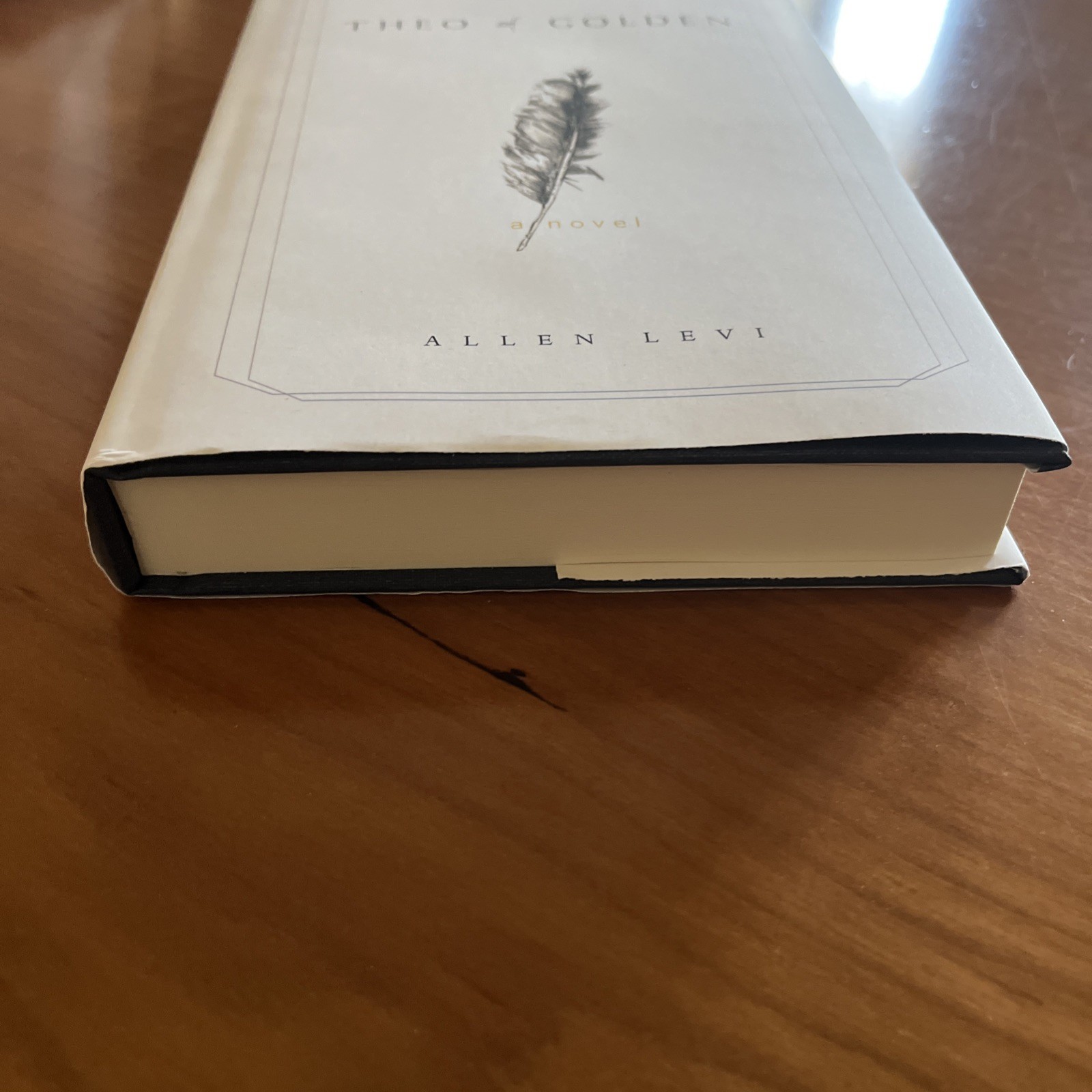 Theo of Golden Allen Levi True First Edition Self Published Hardcover Book 2023