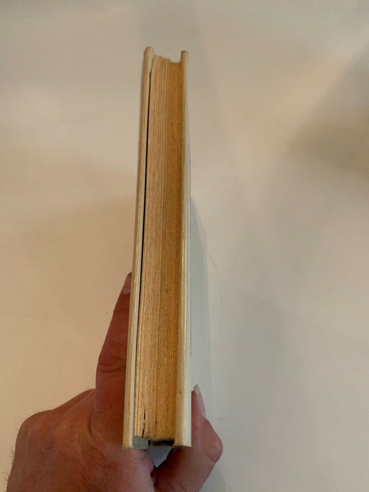 1981 An Indecent Obsession by Colleen McCullough Hardcover With Dust Jacket