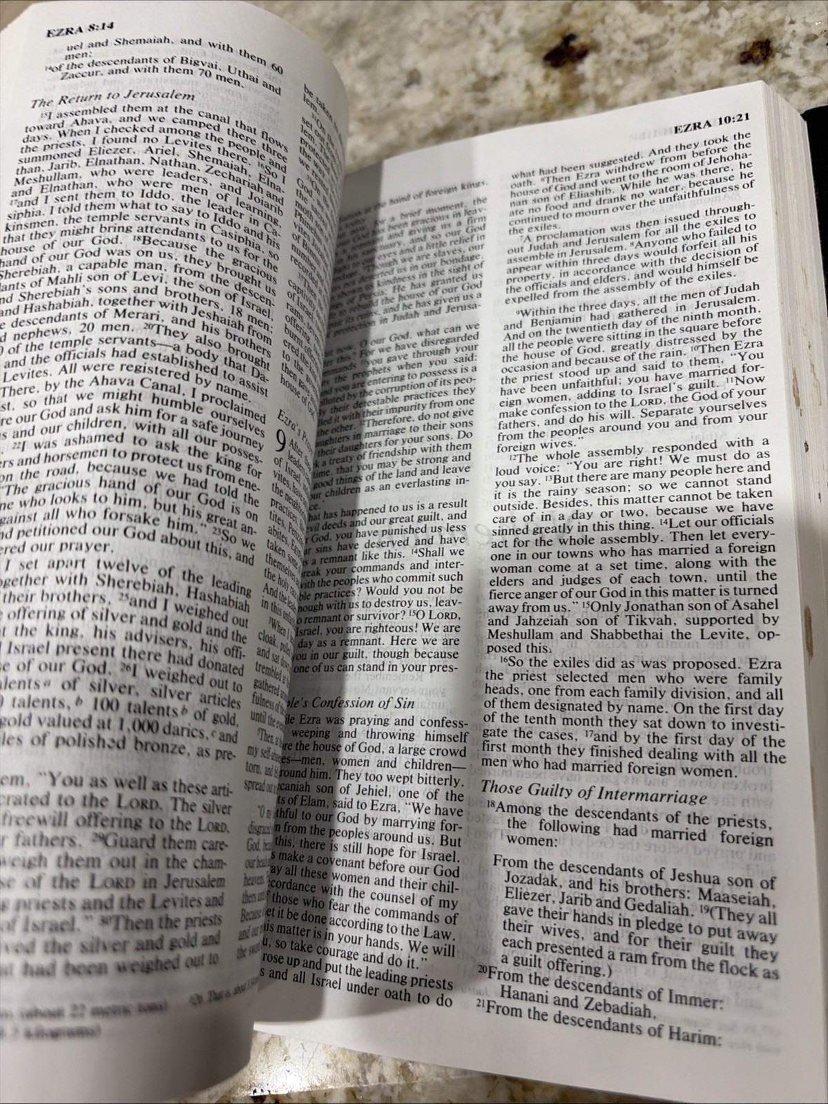 Holy Bible New International Version International Bible Society 1984 Hardcover