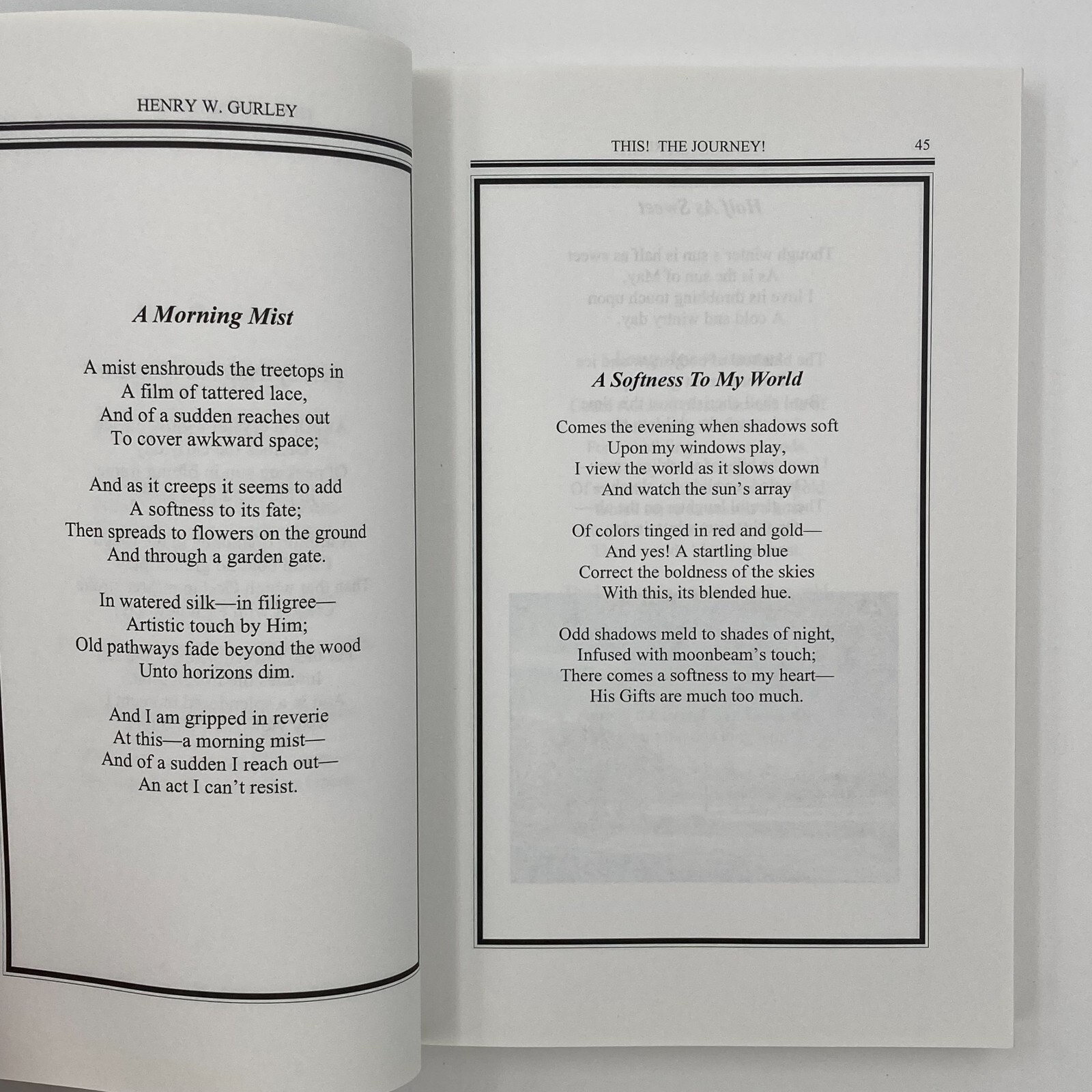 This! The Journey! Inspirational Poetry by Henry W Gurley PB 2013 343 Pages