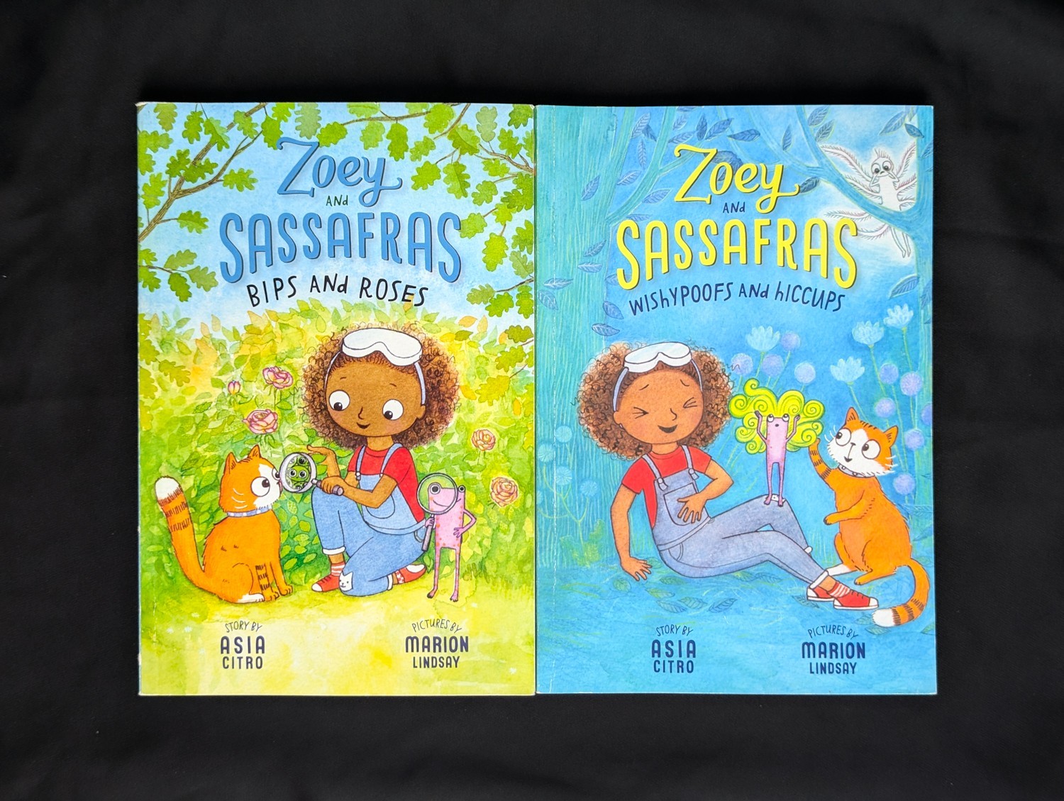Lot Of 7 Asia Citro Books Zoey & Sassafras Pod Bog Caterflies Monsters Wishypoof